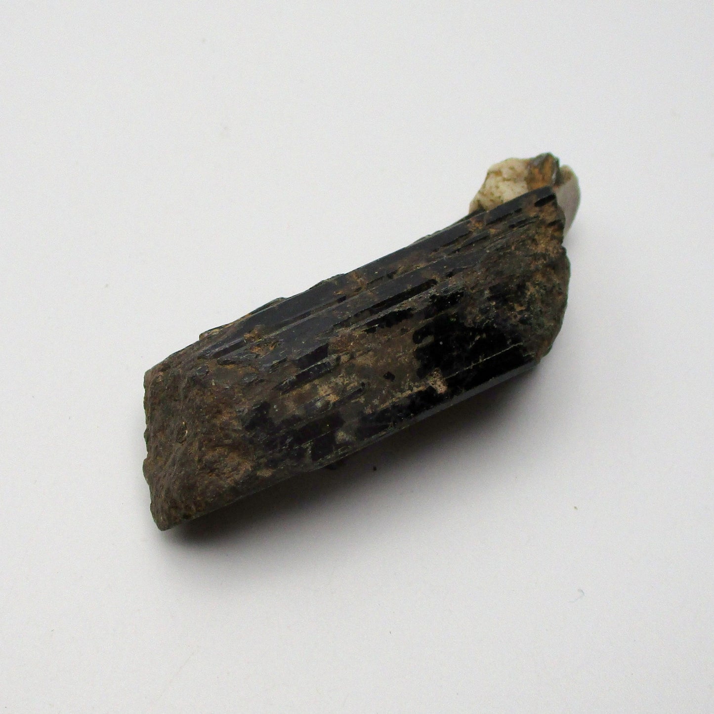 Aegirine Raw Crystal — Large Specimen | 2.5" × 1.25" × 0.75"
