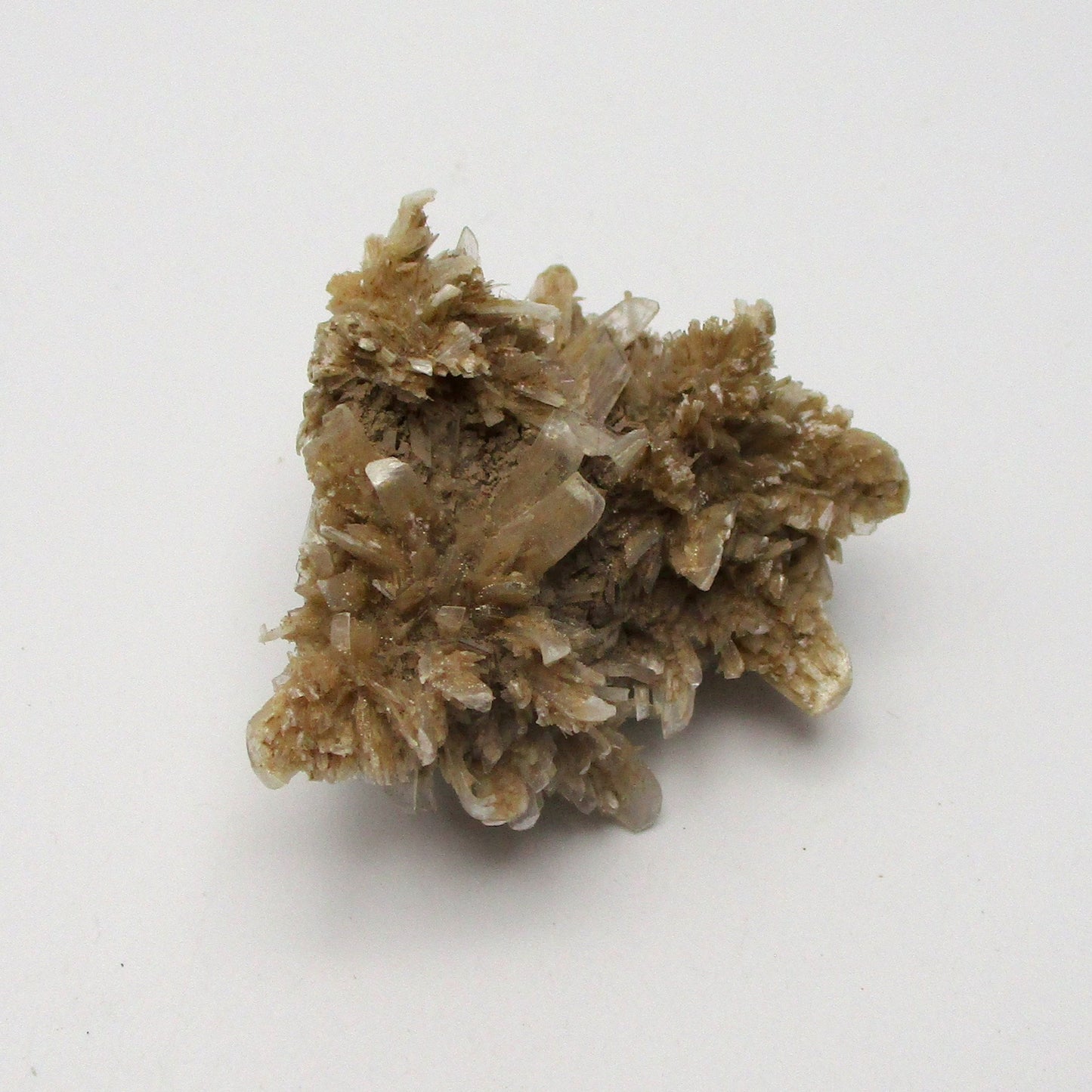 French Selenite – Cube Chunk (1.5" x 1.5" x 1")