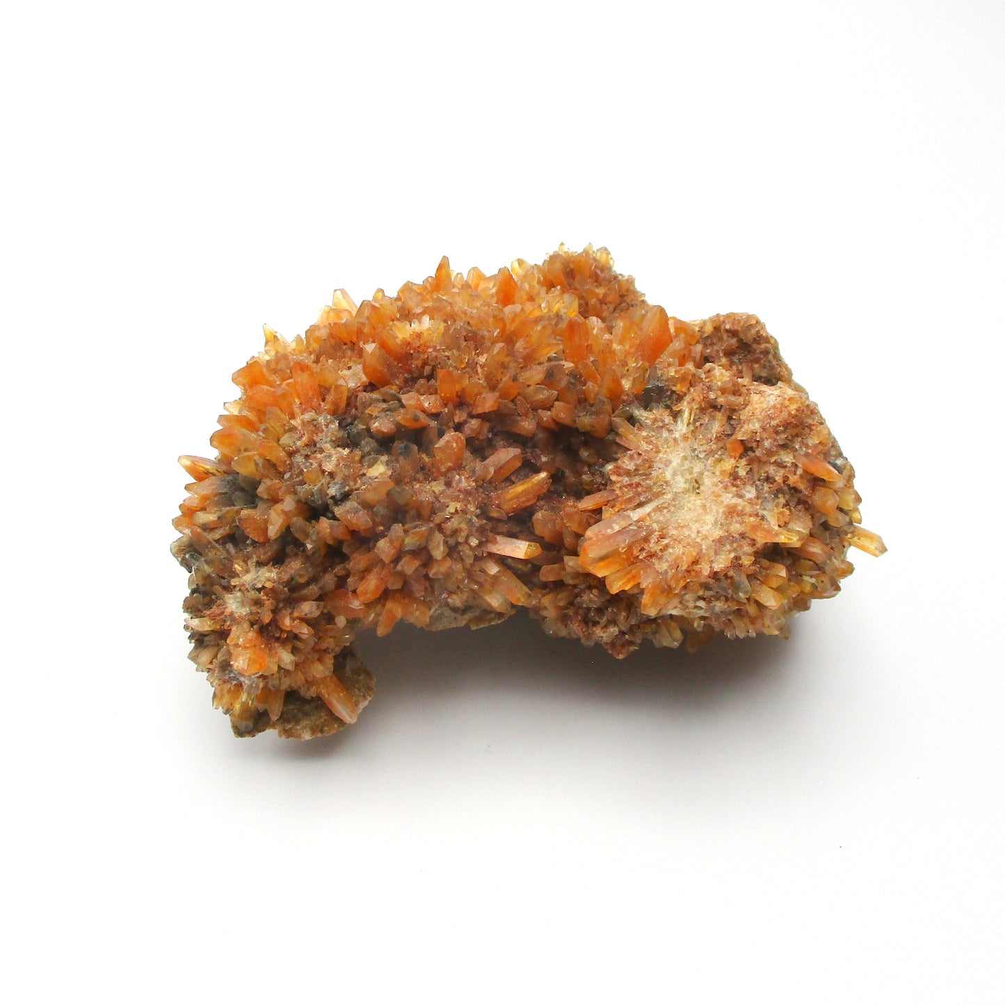 Creedite