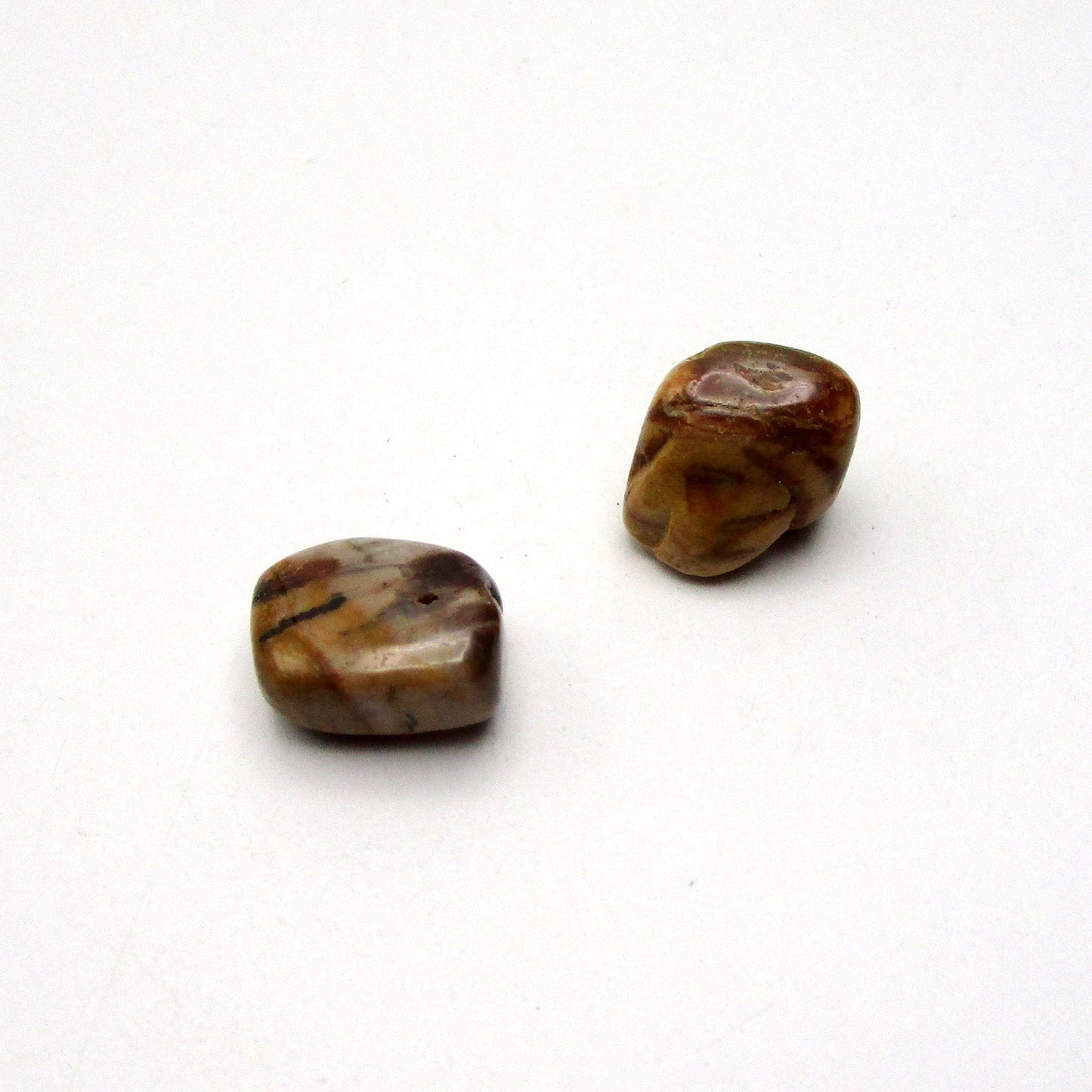 Petrified Wood