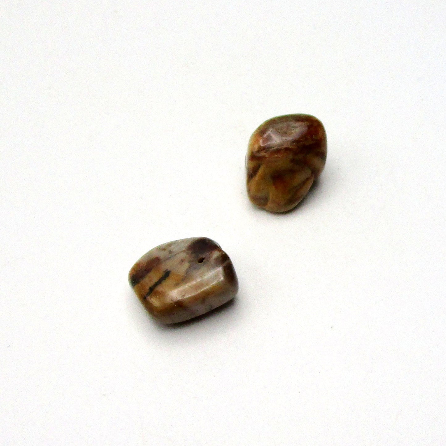 Petrified Wood