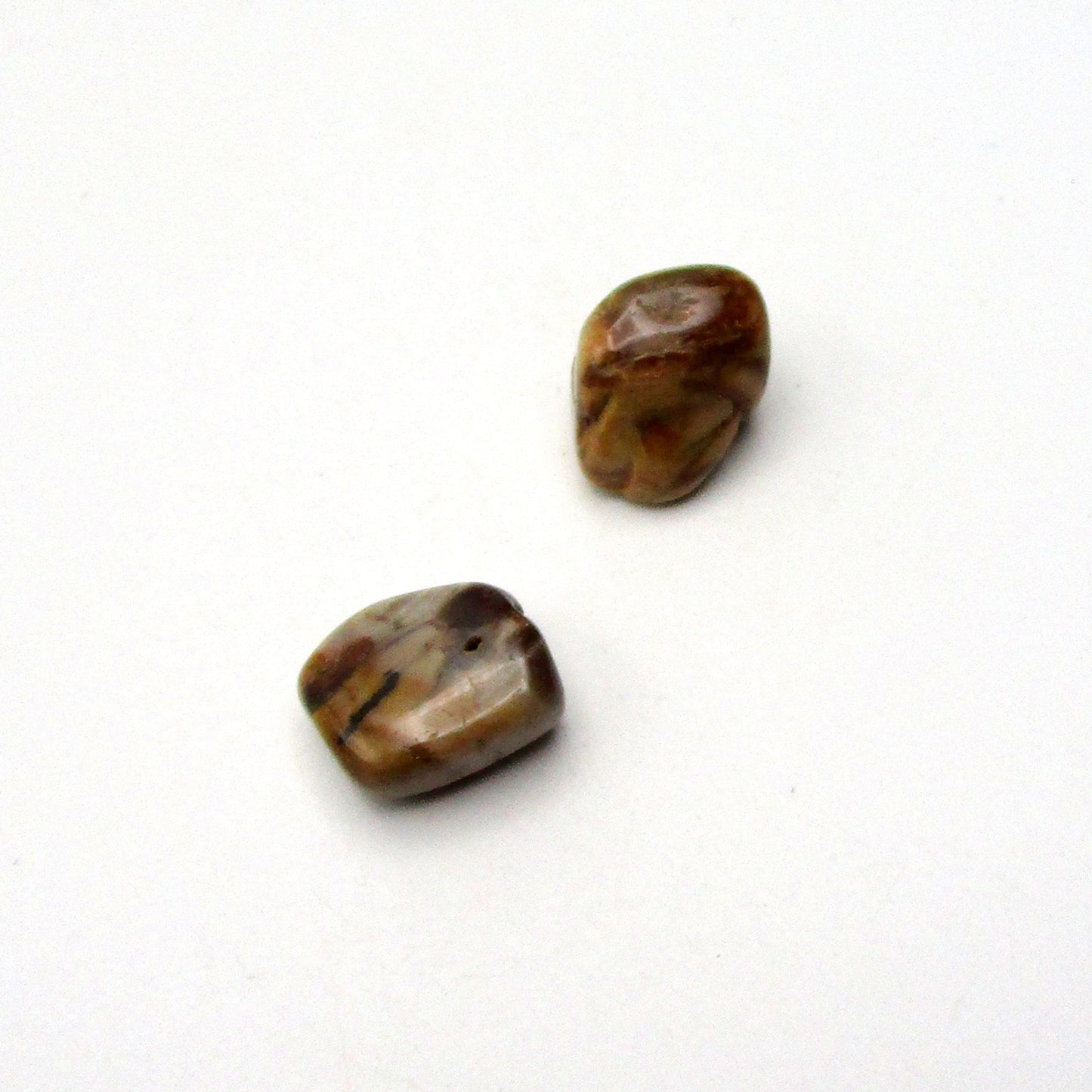 Petrified Wood
