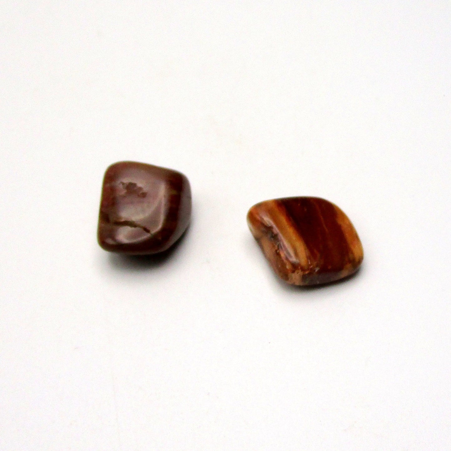 Petrified Wood