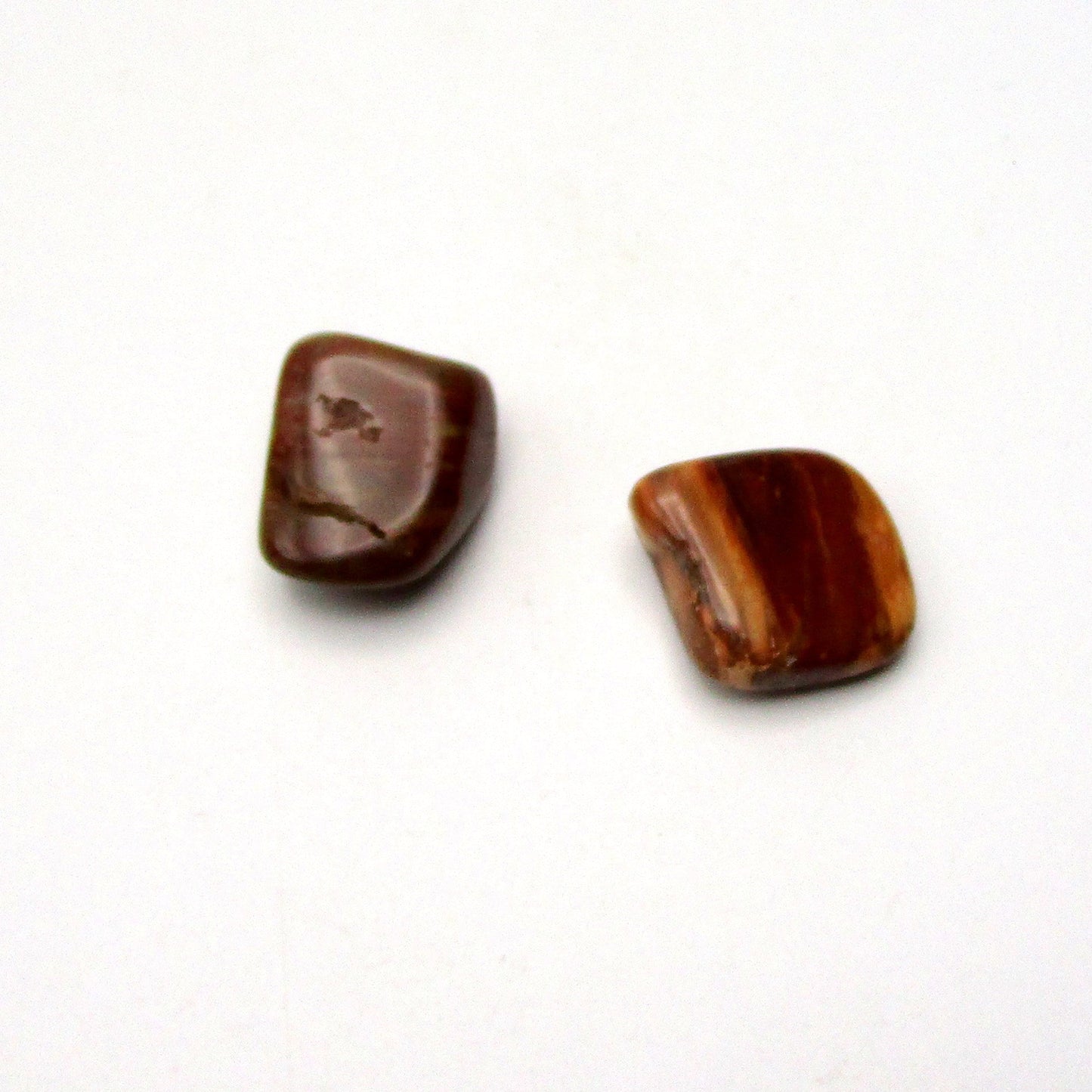 Petrified Wood