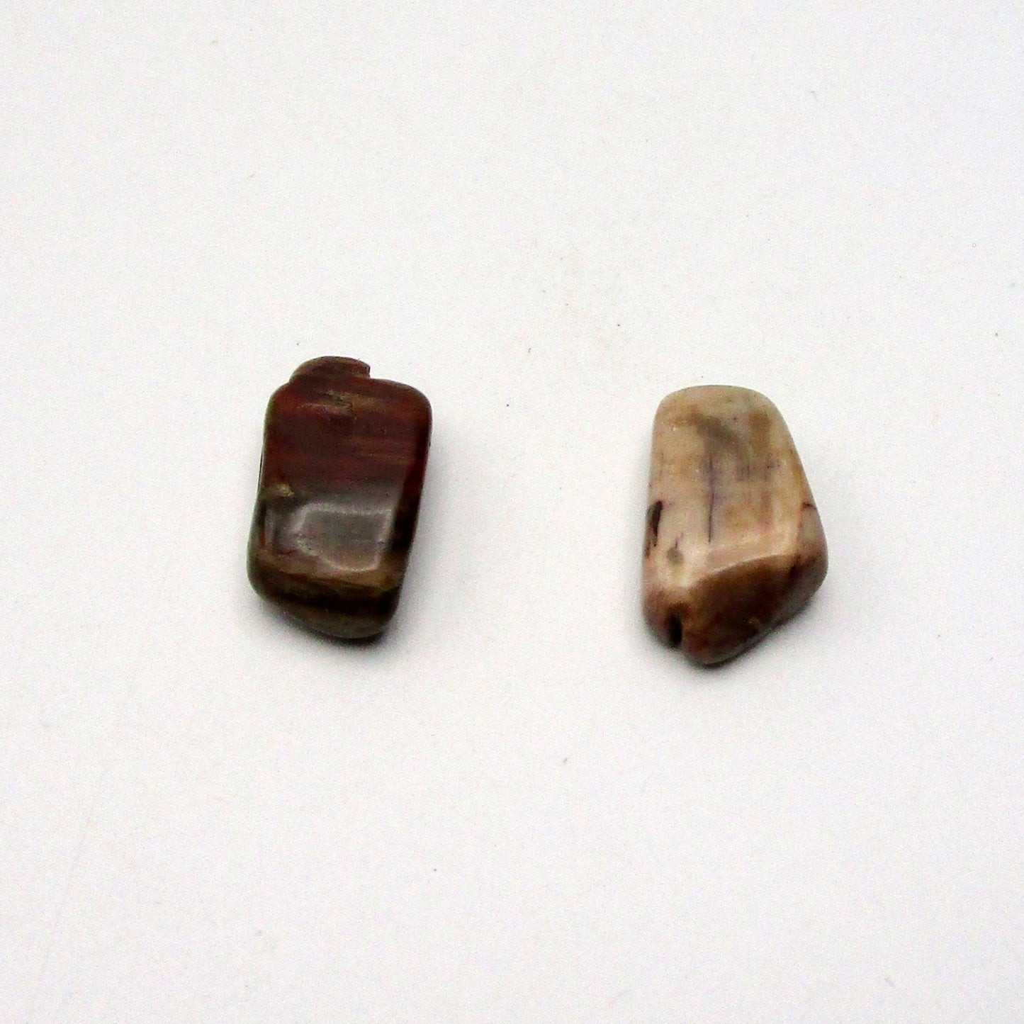 Petrified Wood