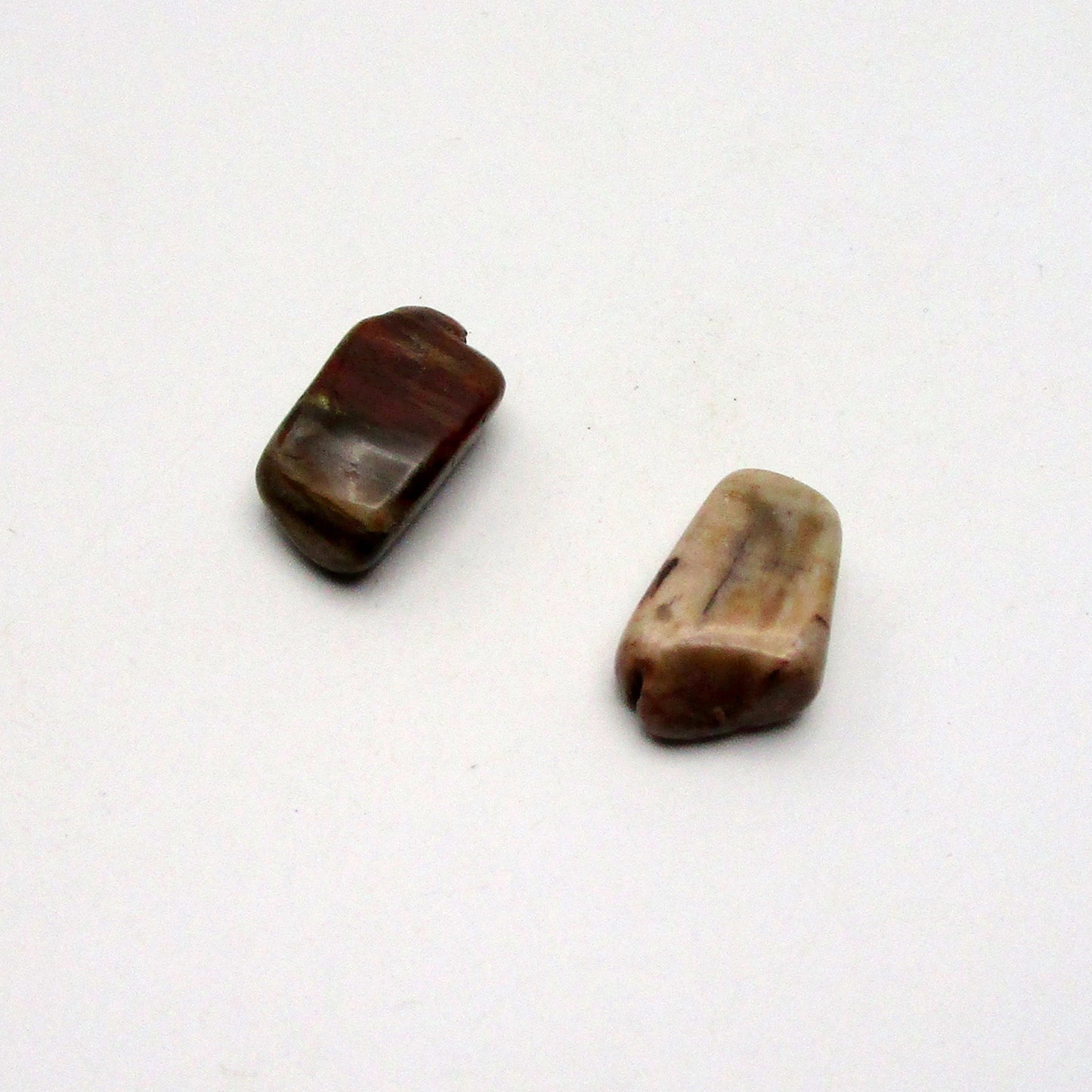 Petrified Wood