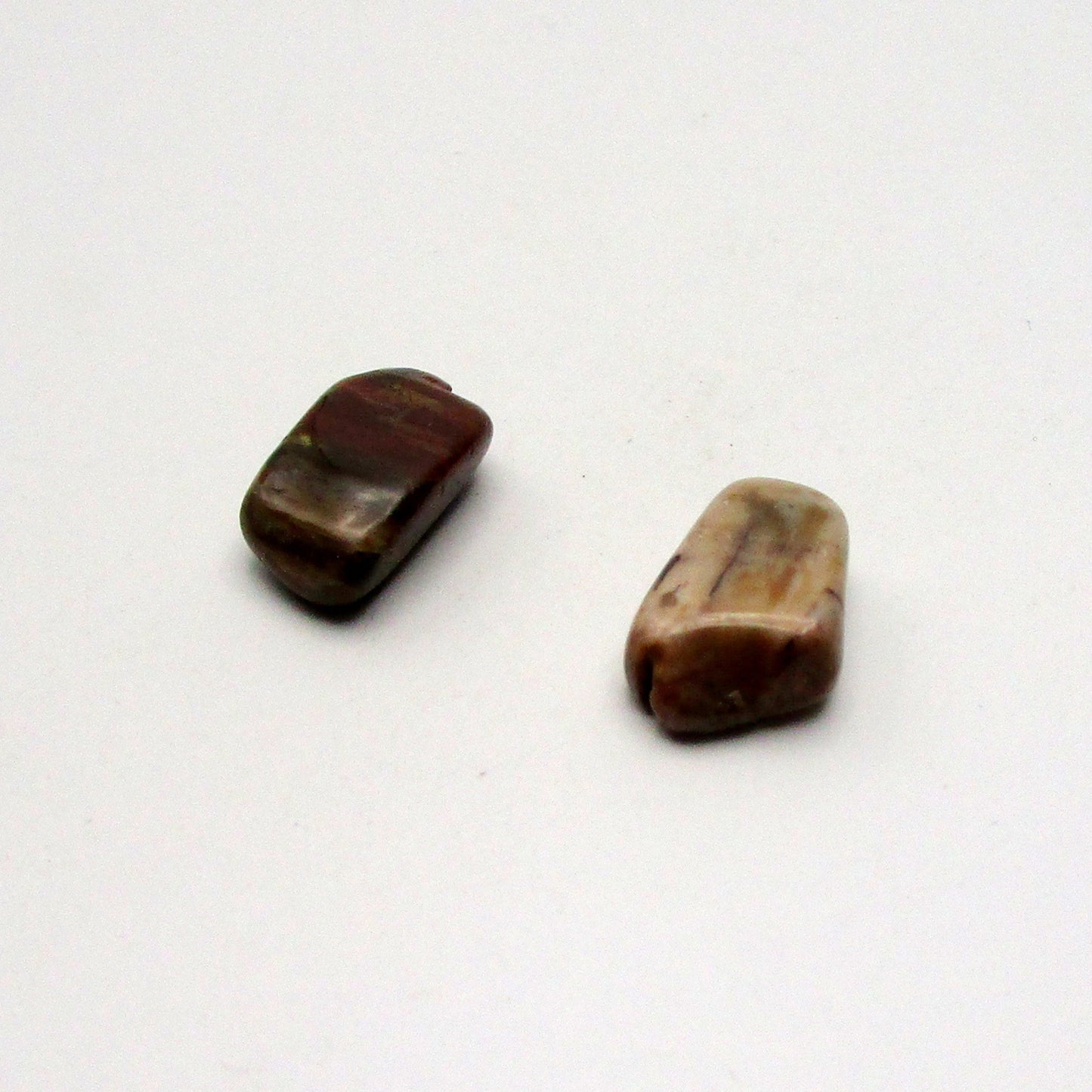 Petrified Wood