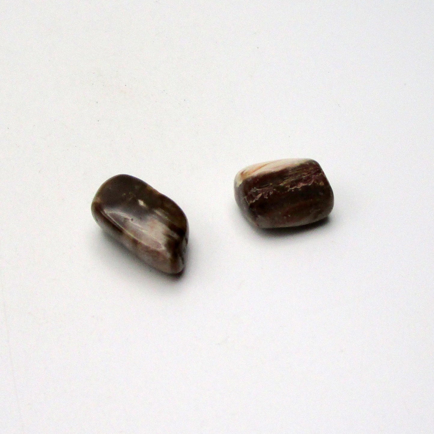 Petrified Wood
