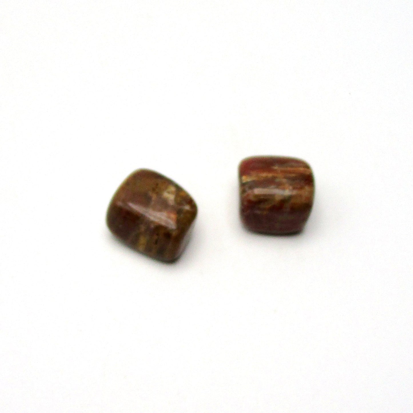 Petrified Wood
