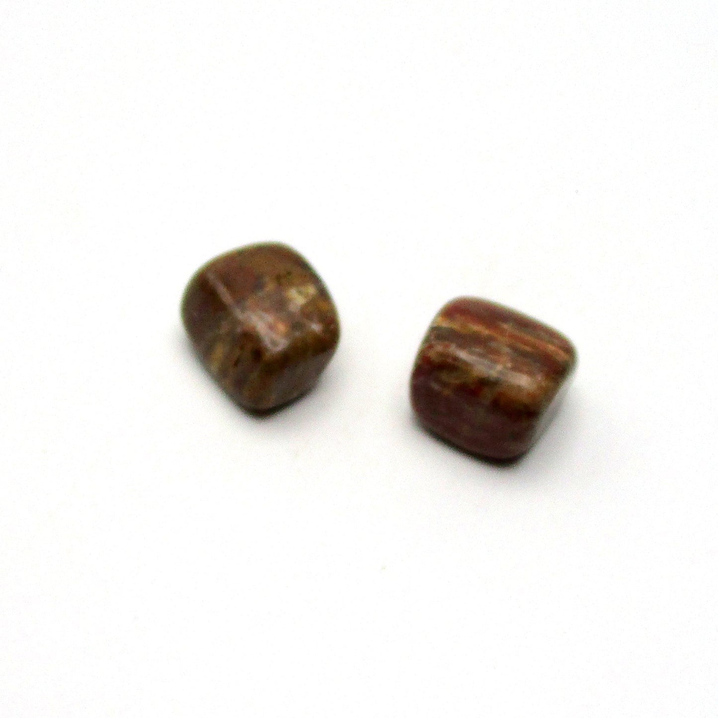 Petrified Wood