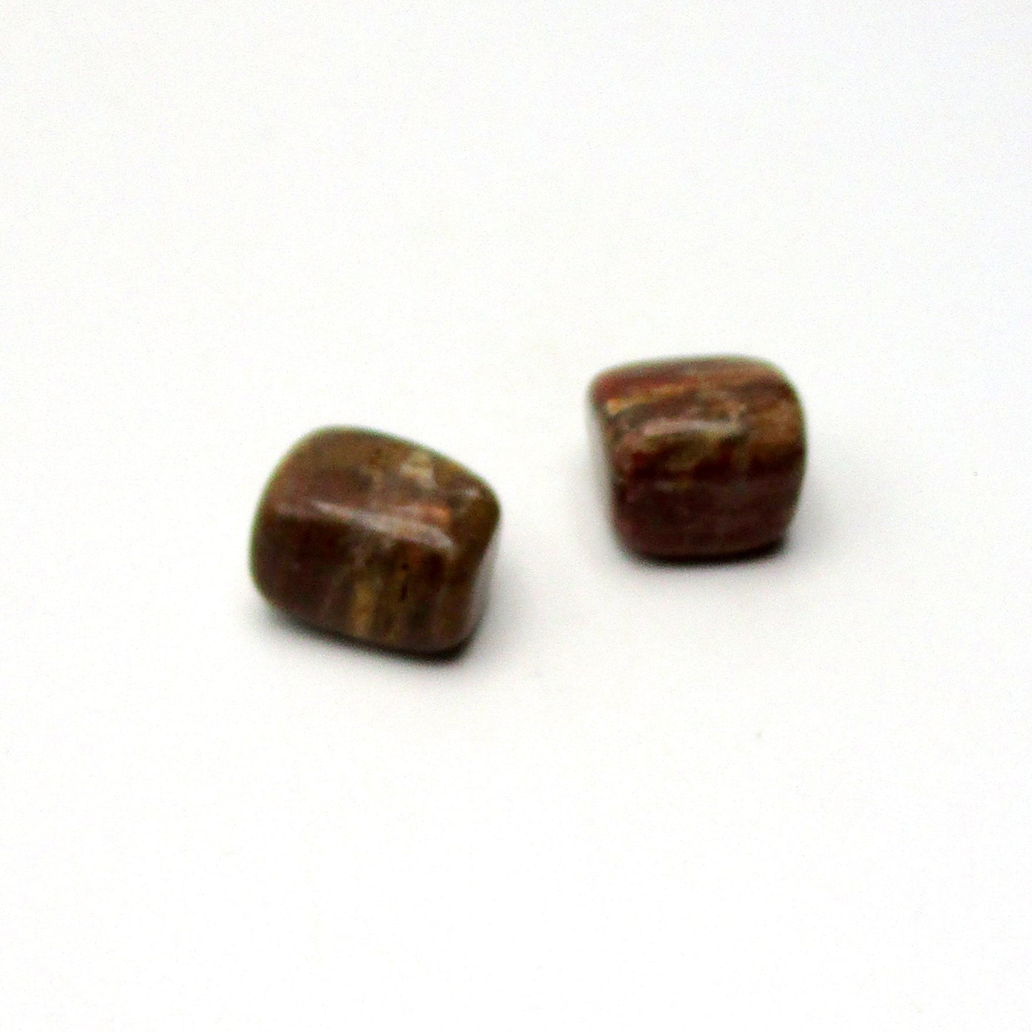 Petrified Wood
