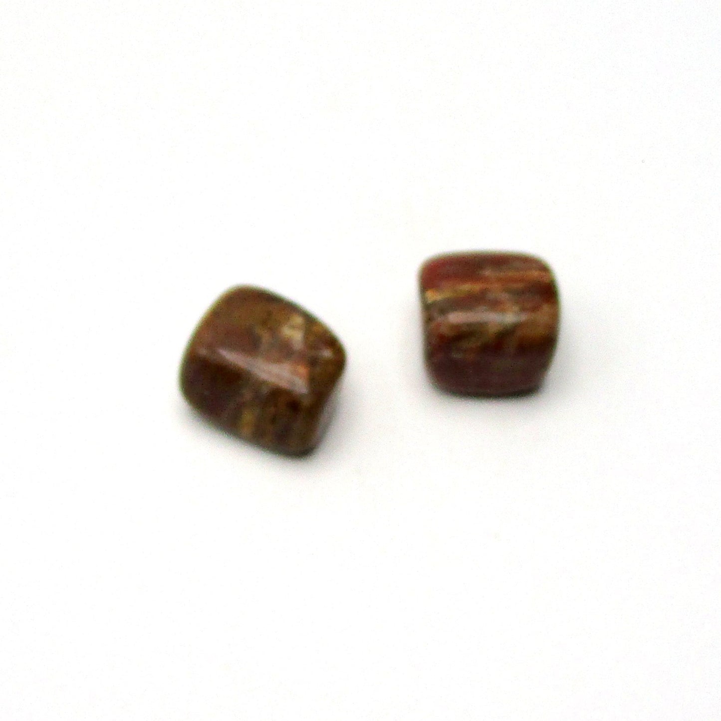 Petrified Wood