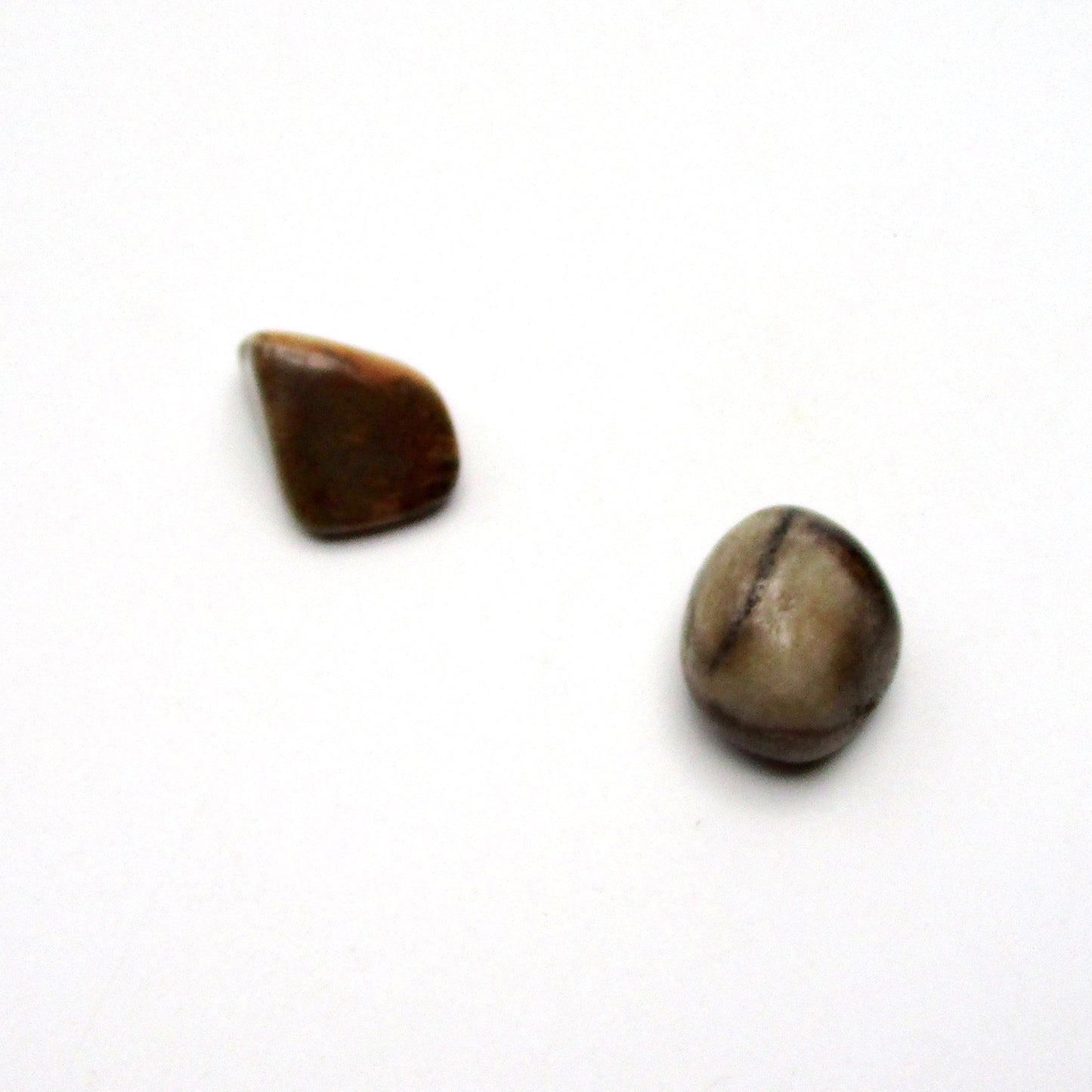 Petrified Wood