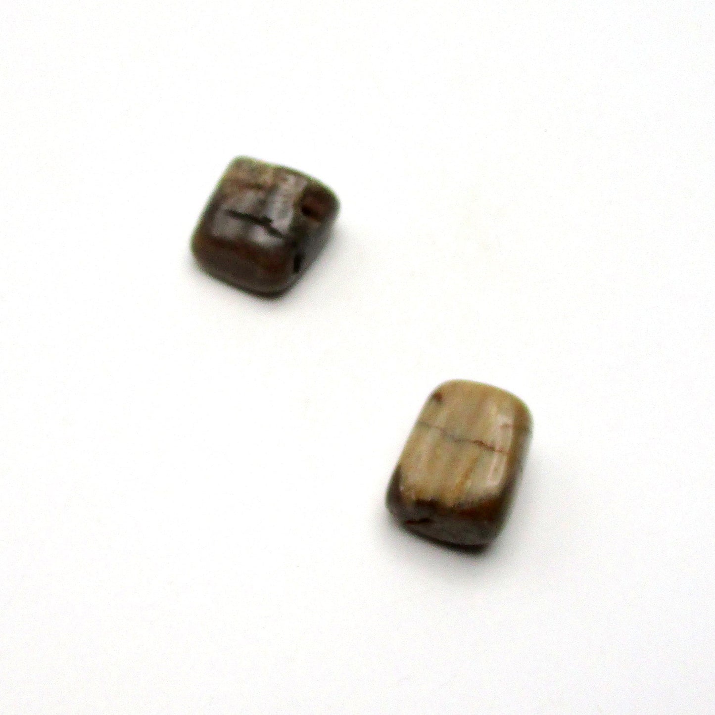 Petrified Wood