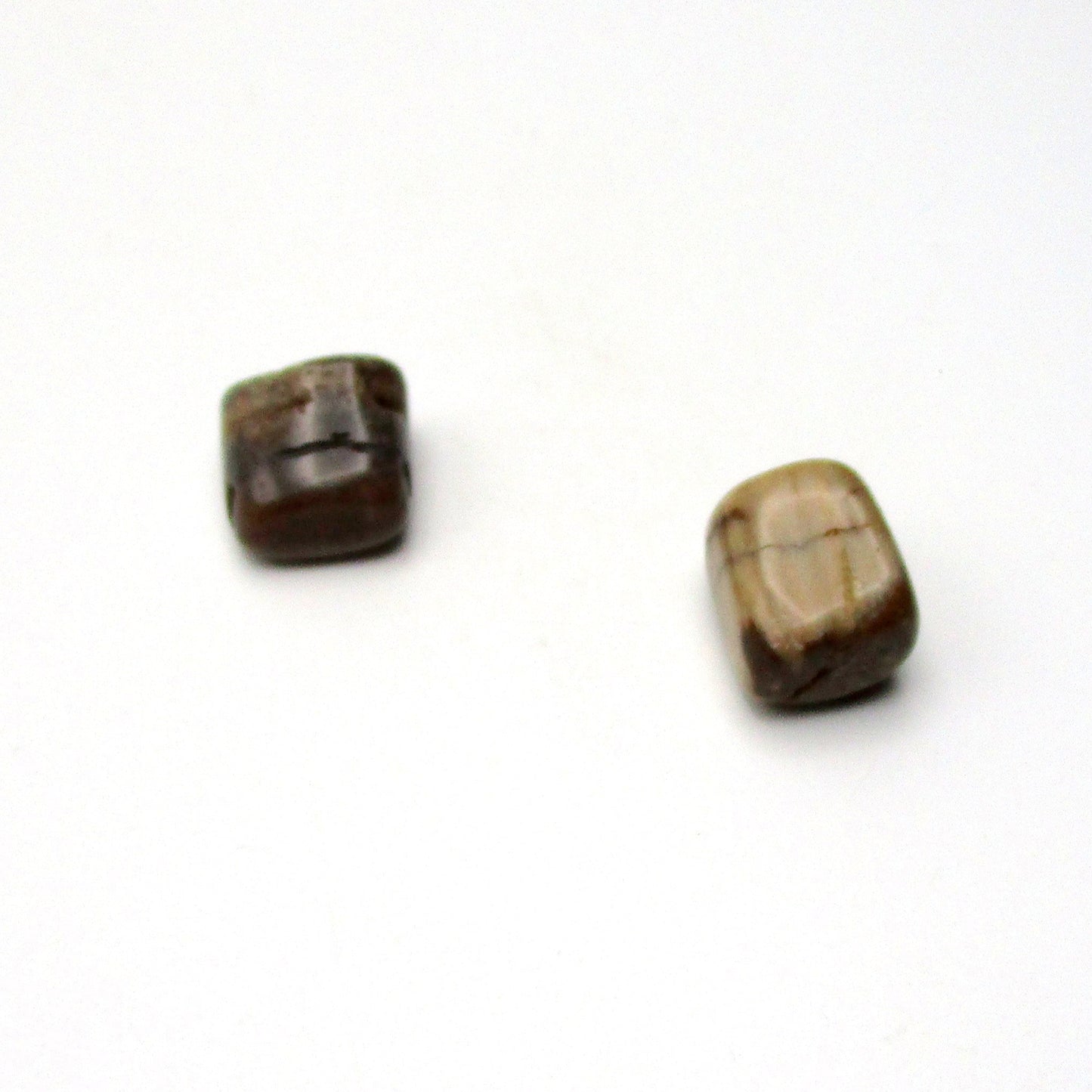 Petrified Wood