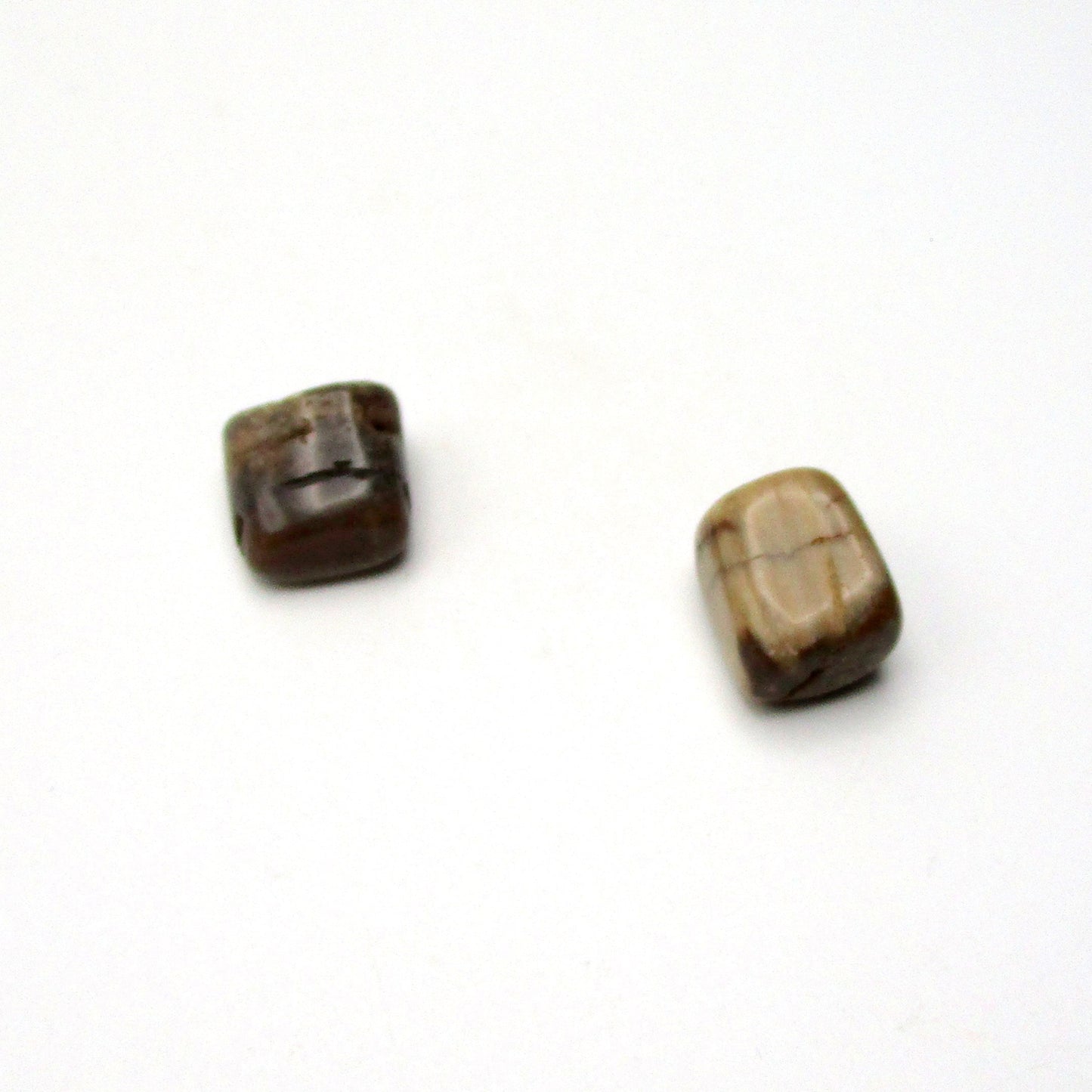 Petrified Wood