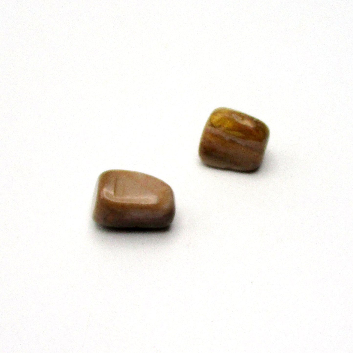 Petrified Wood
