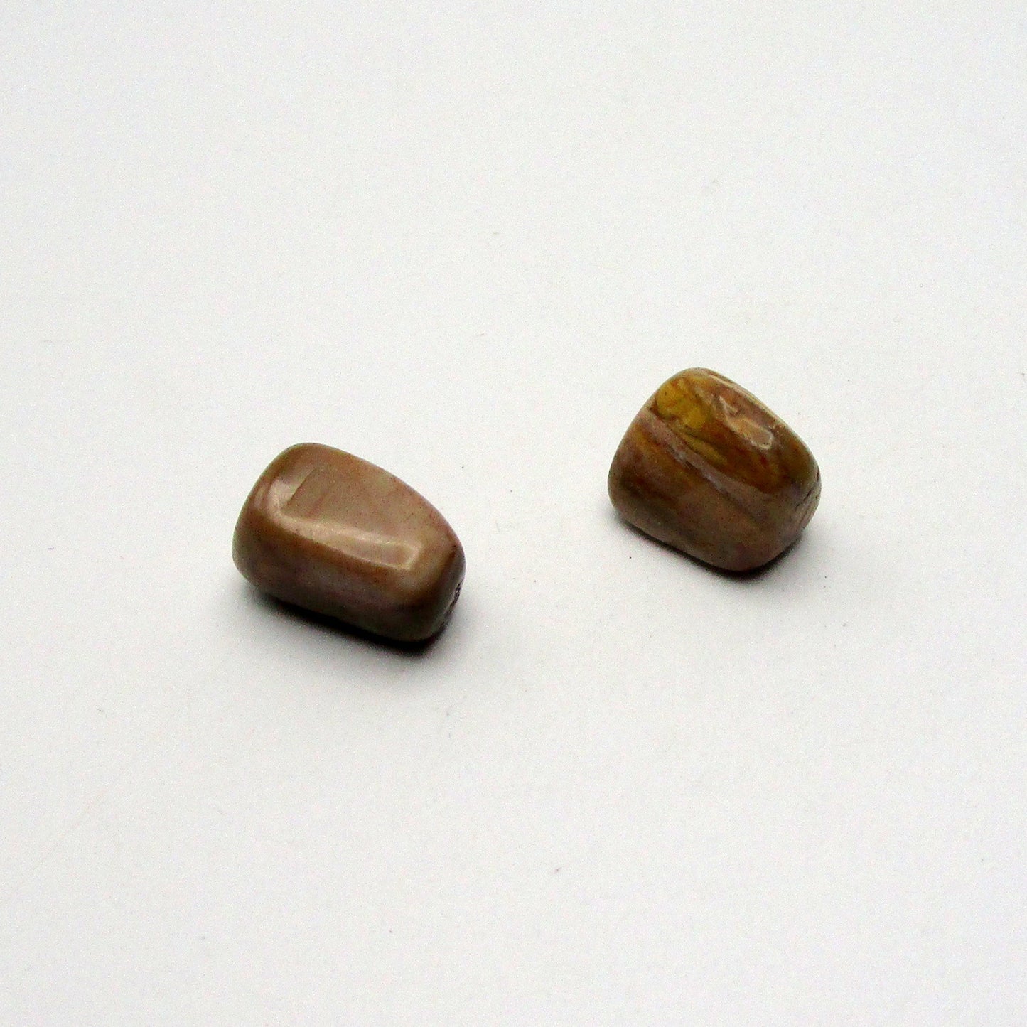 Petrified Wood