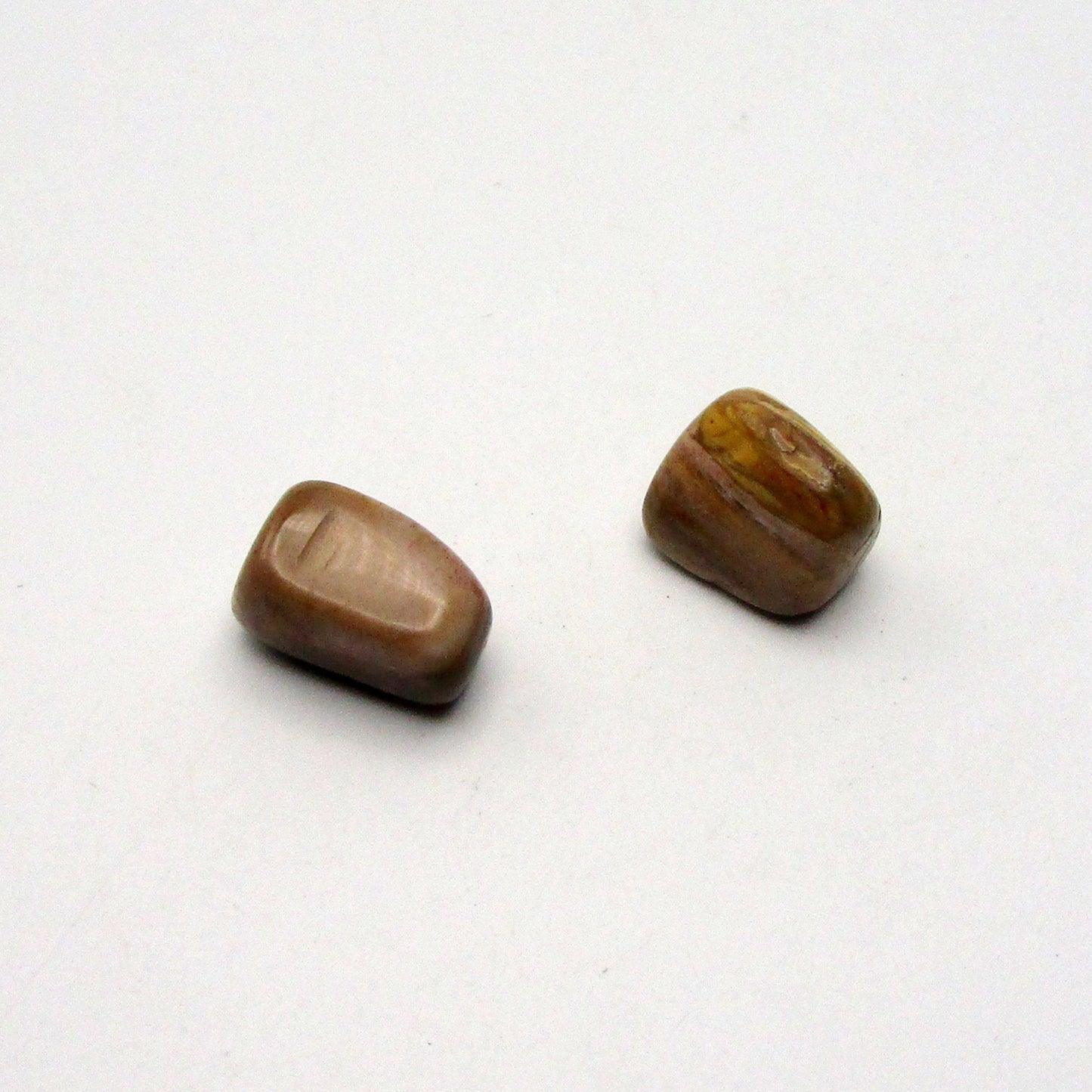 Petrified Wood