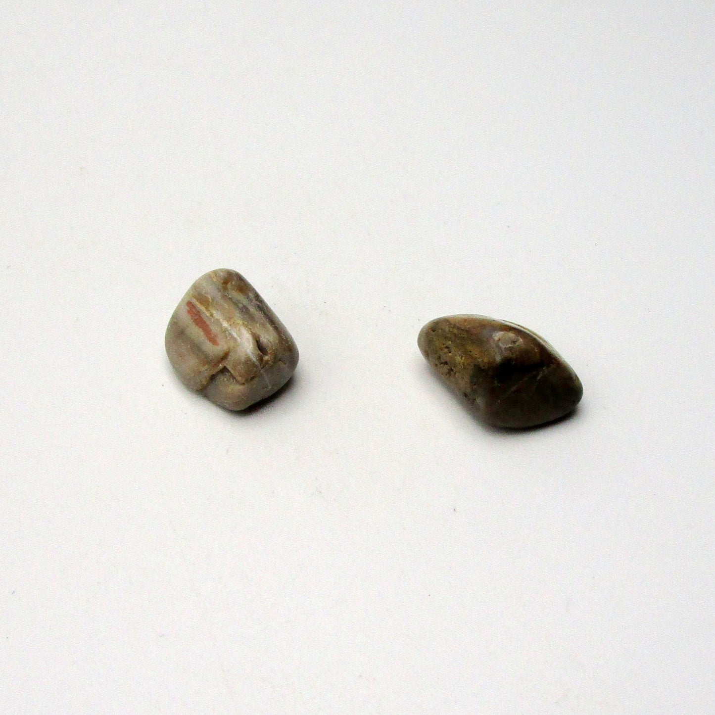 Petrified Wood