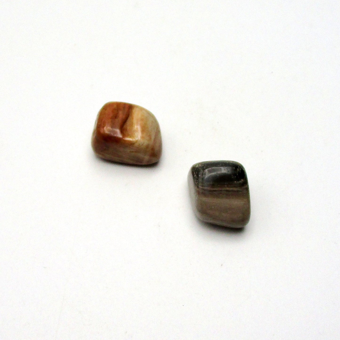 Petrified Wood