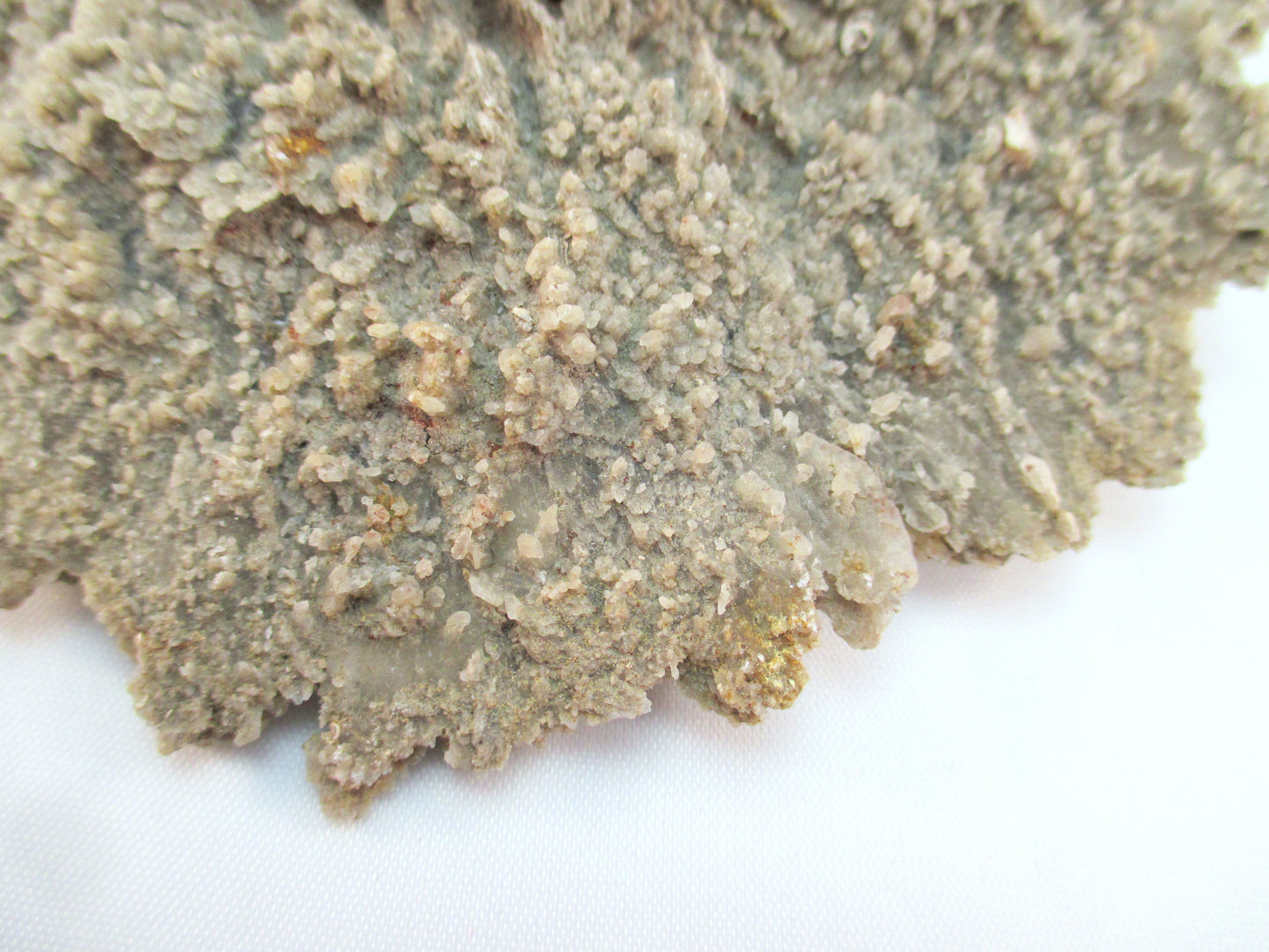 Australian Selenite Disk