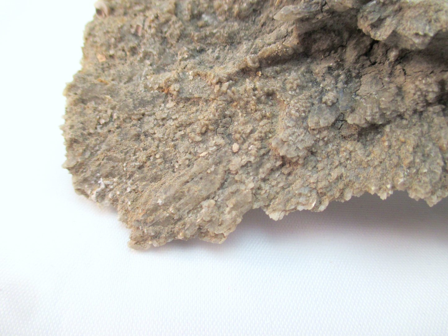 Australian Selenite Disk