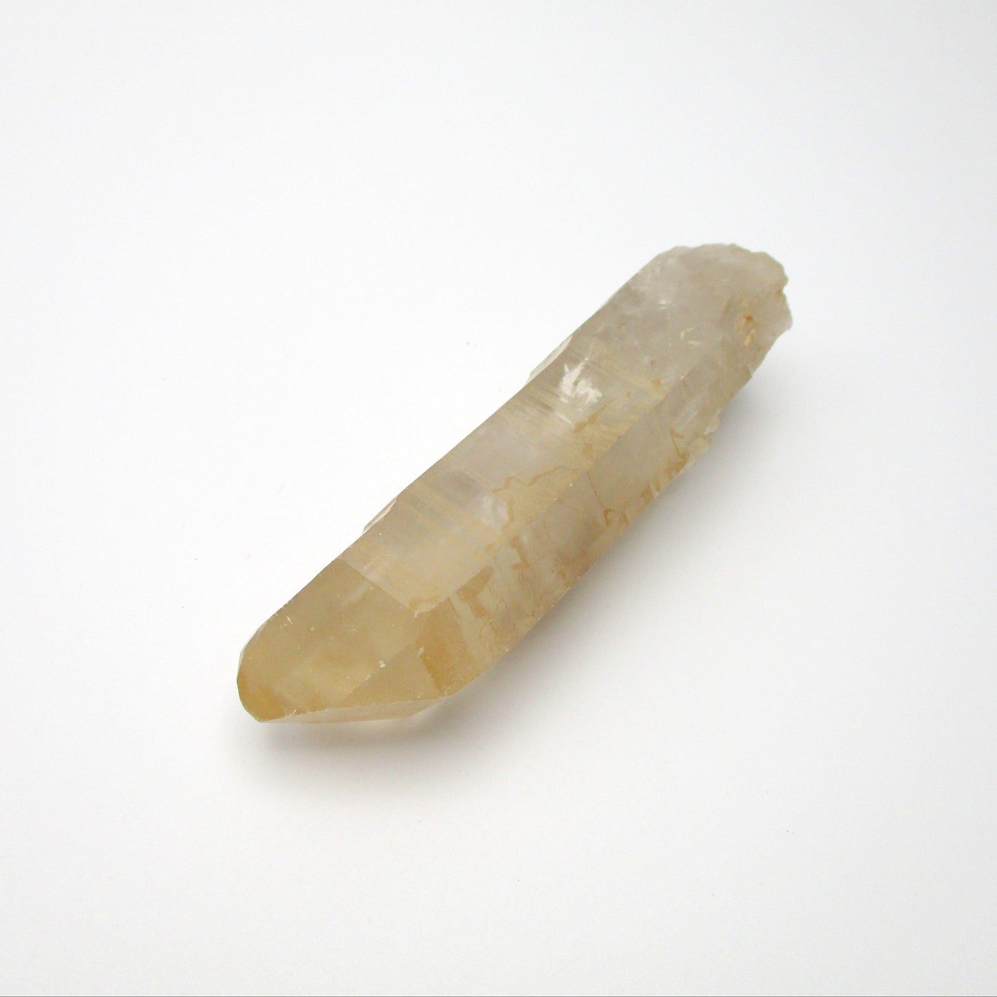 Brazilian Pink Lemurian