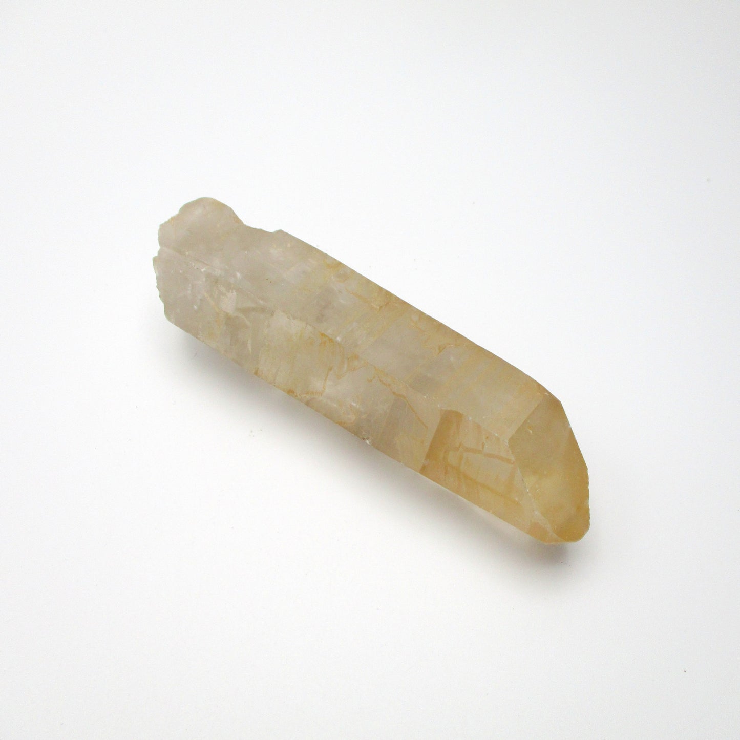 Brazilian Pink Lemurian