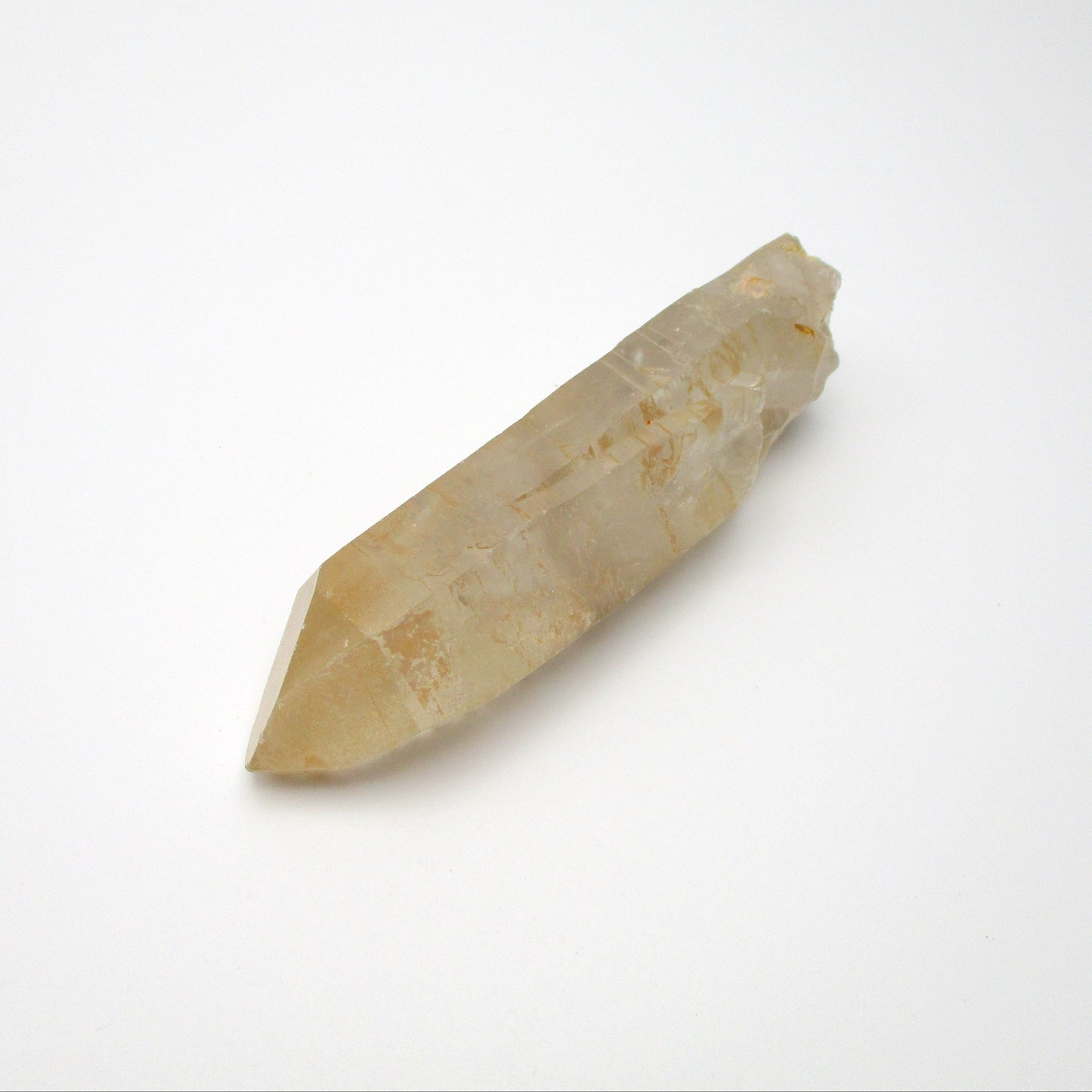 Brazilian Pink Lemurian