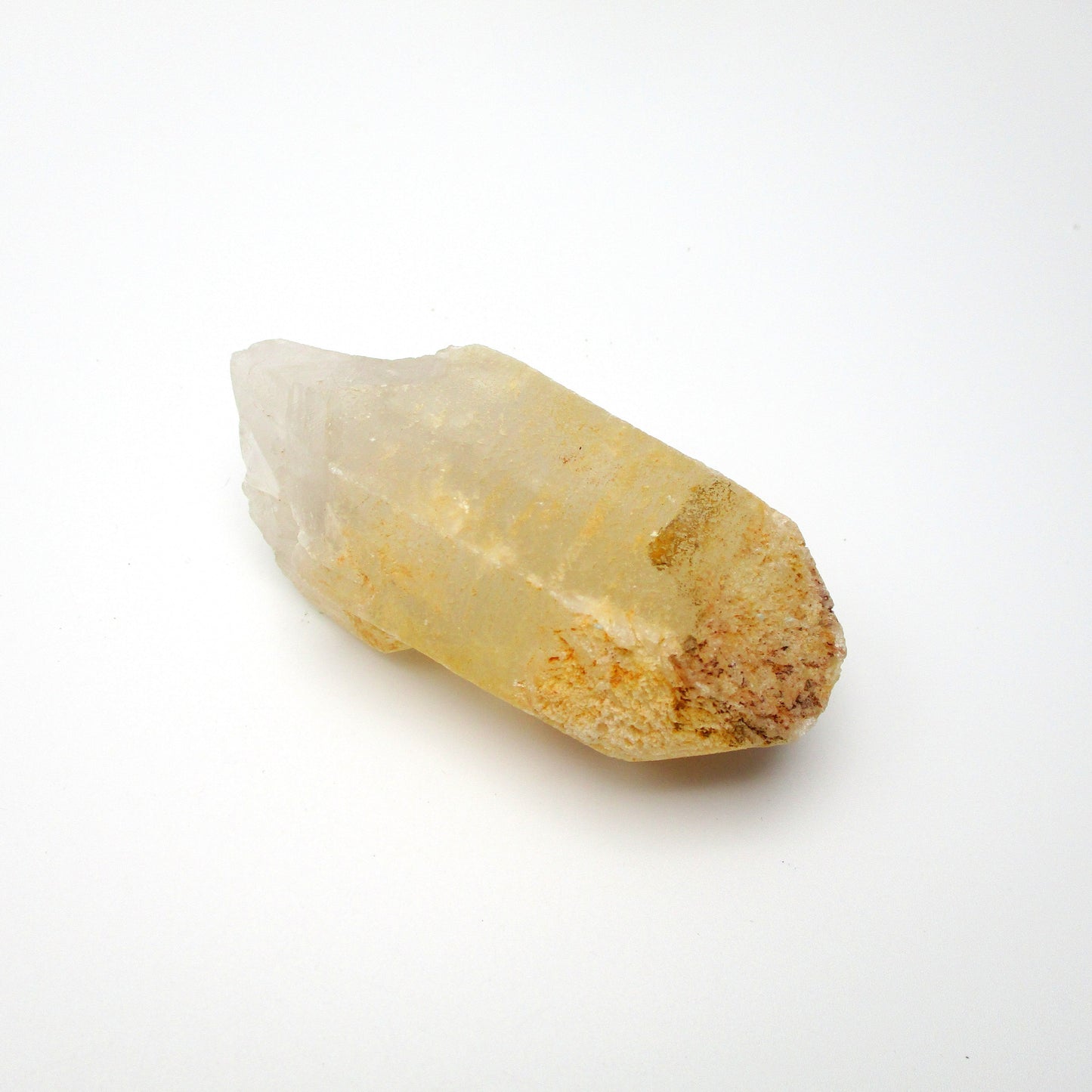 Brazilian Pink Lemurian