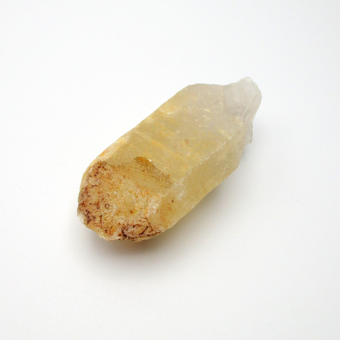 Brazilian Pink Lemurian