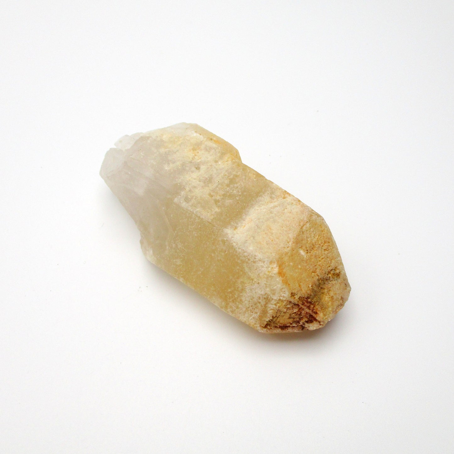 Brazilian Pink Lemurian