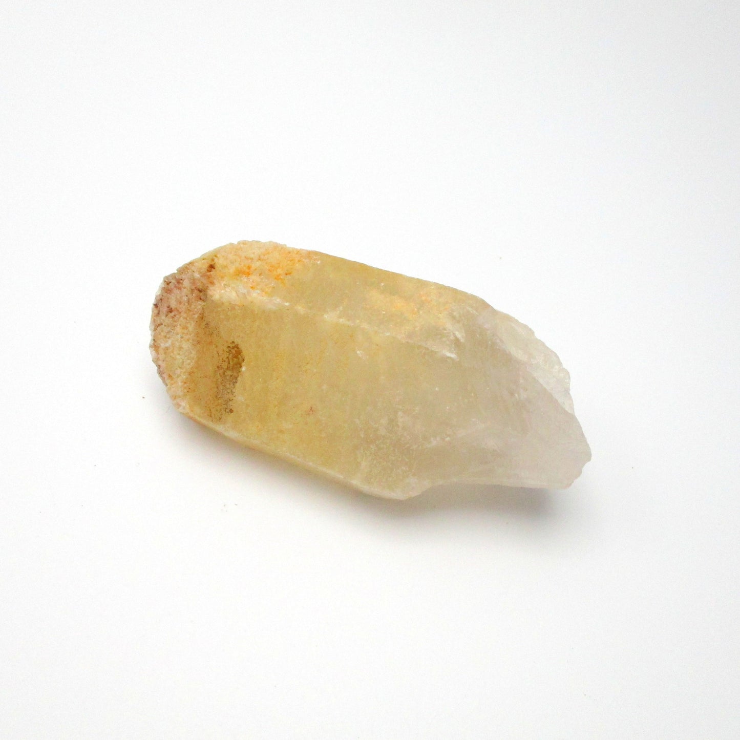 Brazilian Pink Lemurian