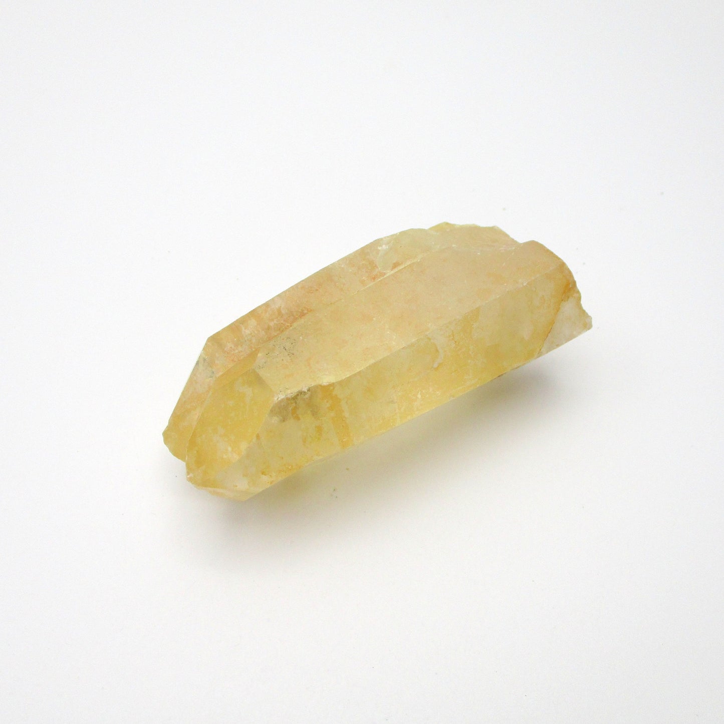 Brazilian Pink Lemurian