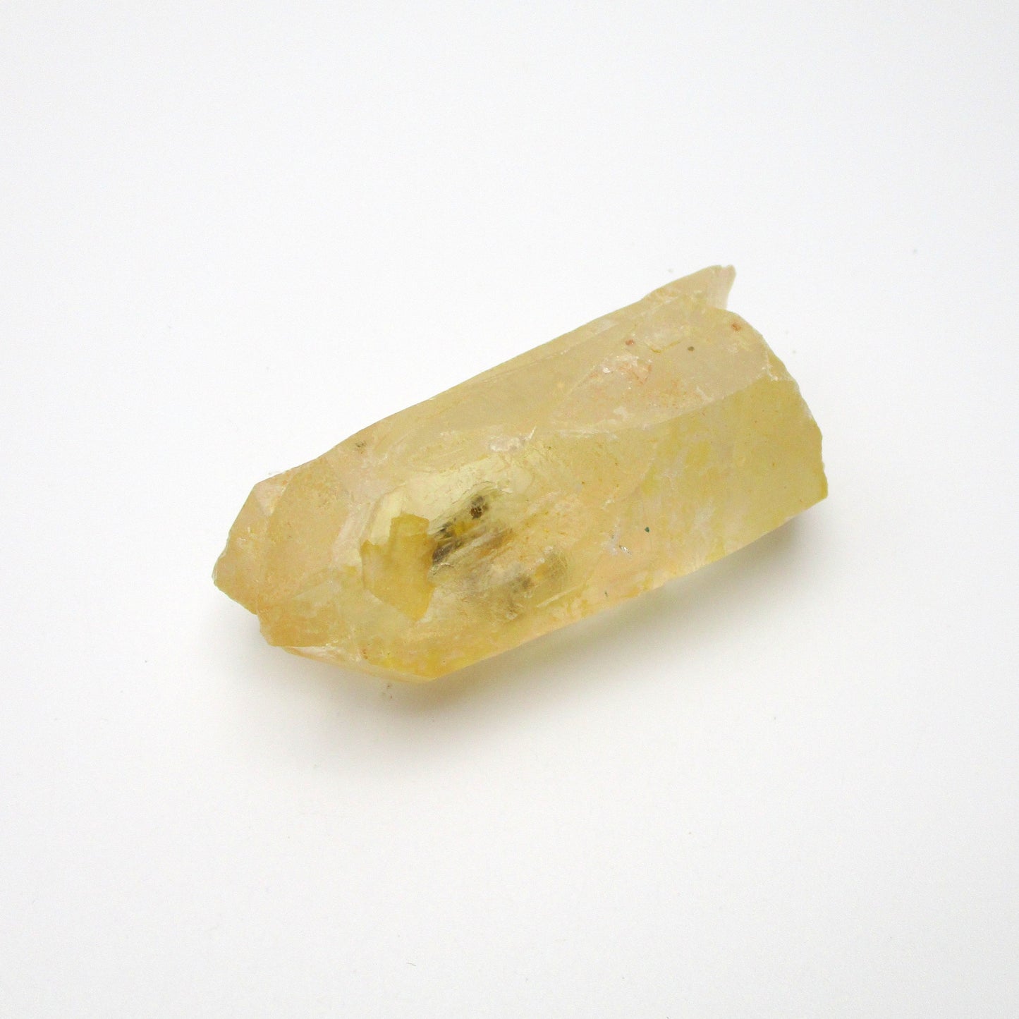 Brazilian Pink Lemurian
