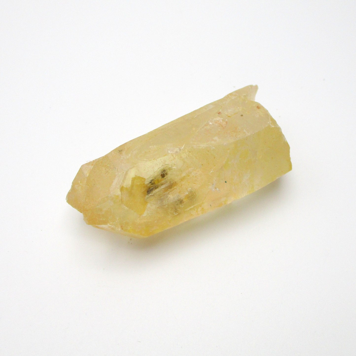 Brazilian Pink Lemurian