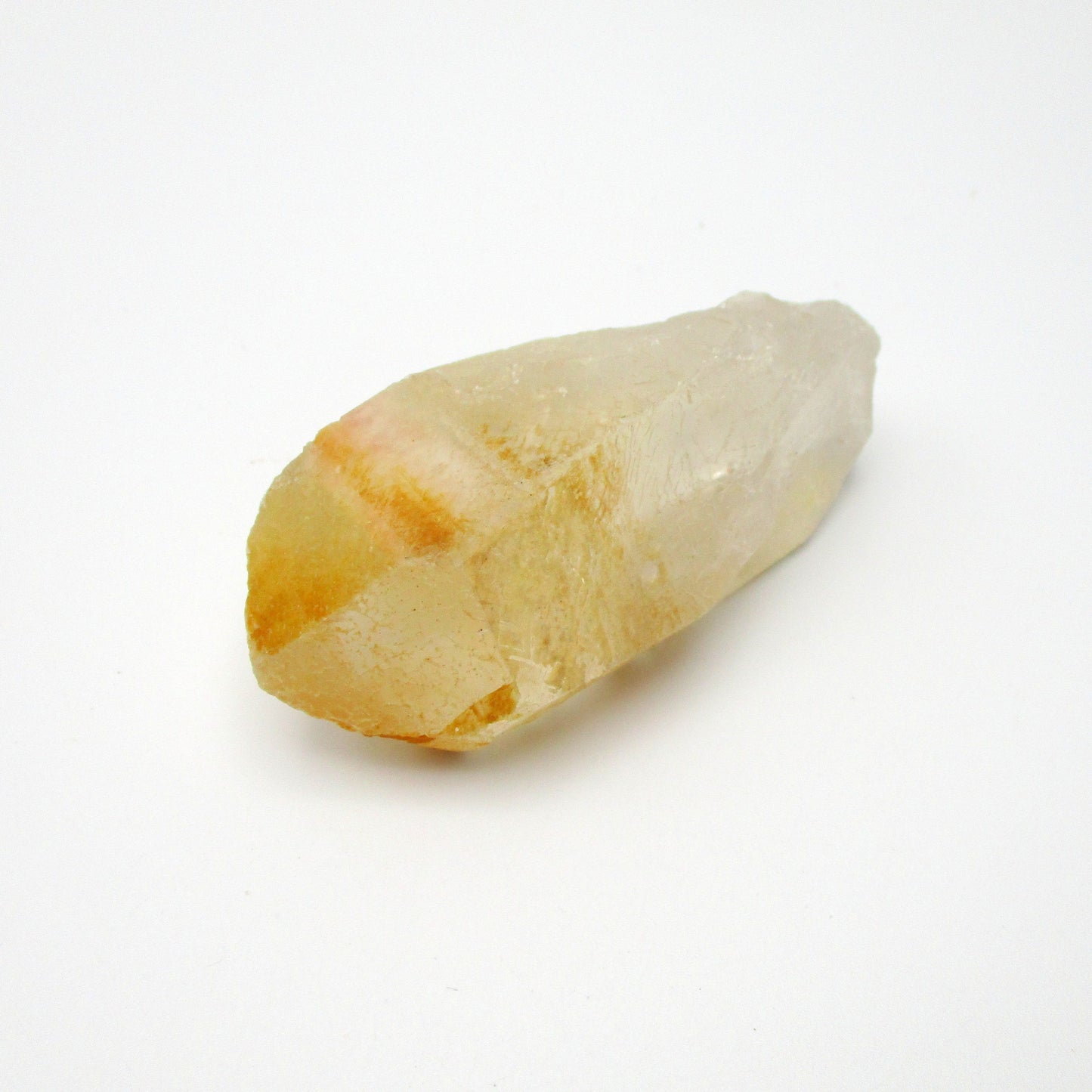 Brazilian Pink Lemurian