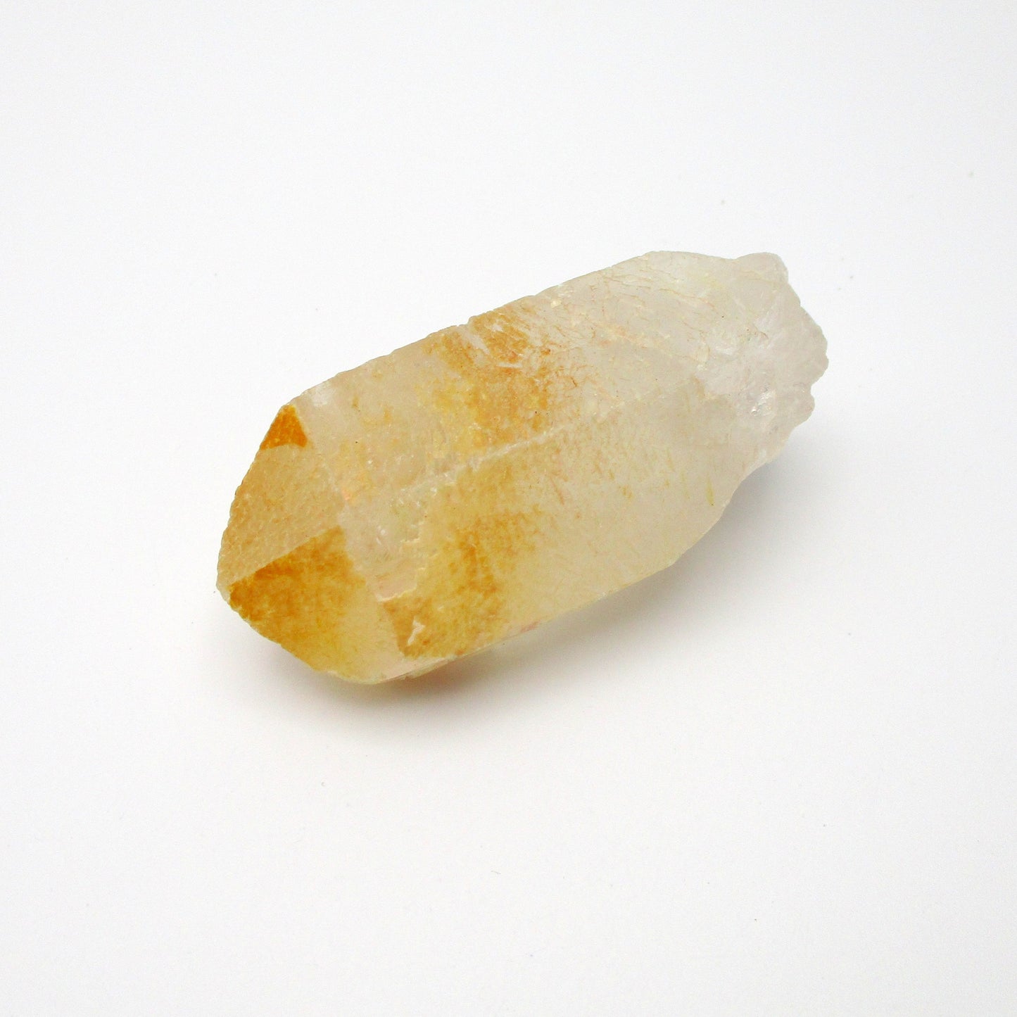 Brazilian Pink Lemurian