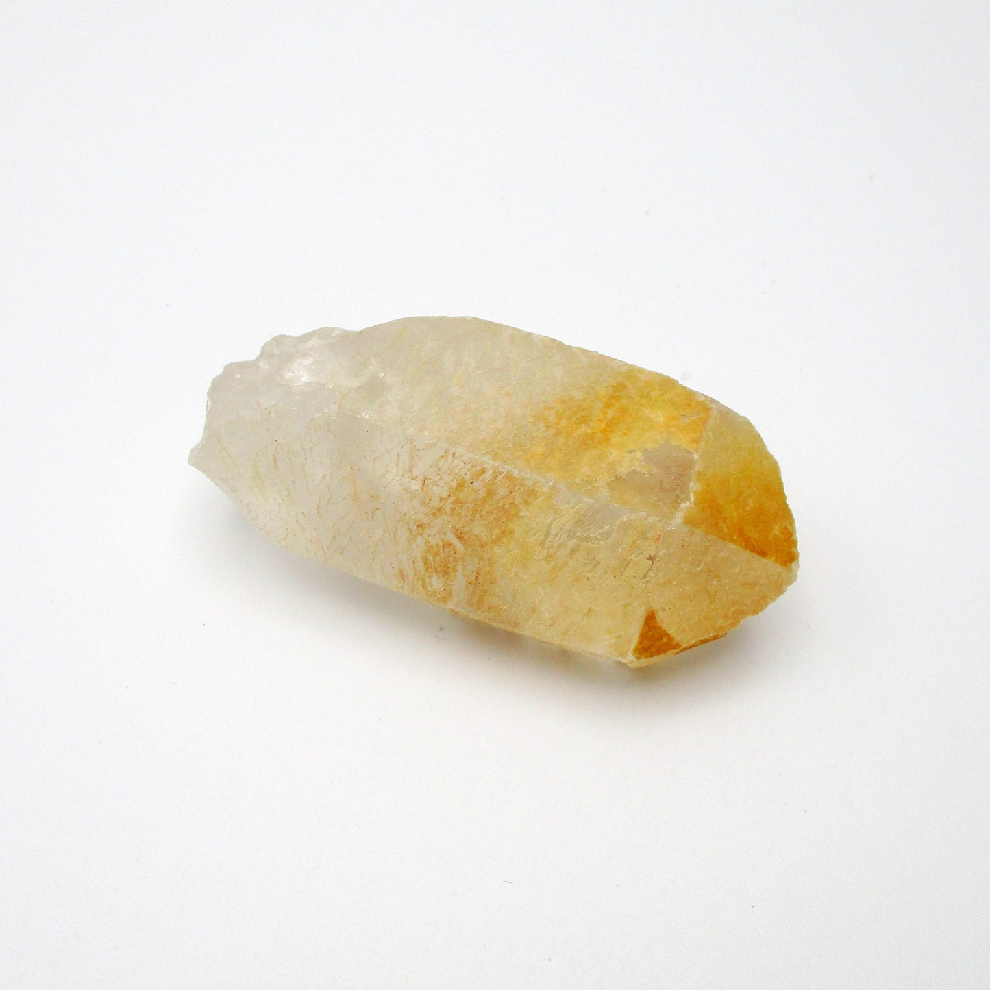 Brazilian Pink Lemurian