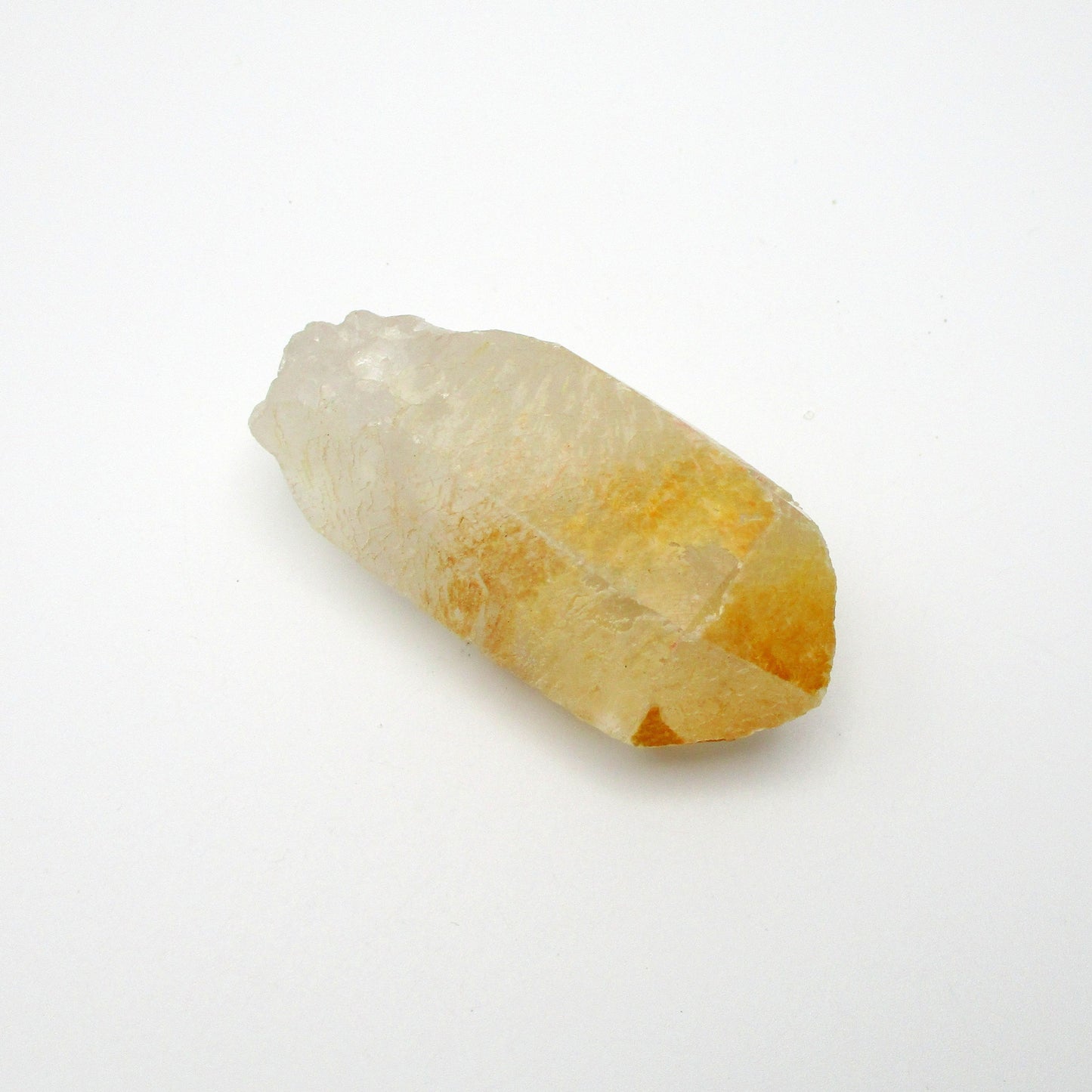 Brazilian Pink Lemurian