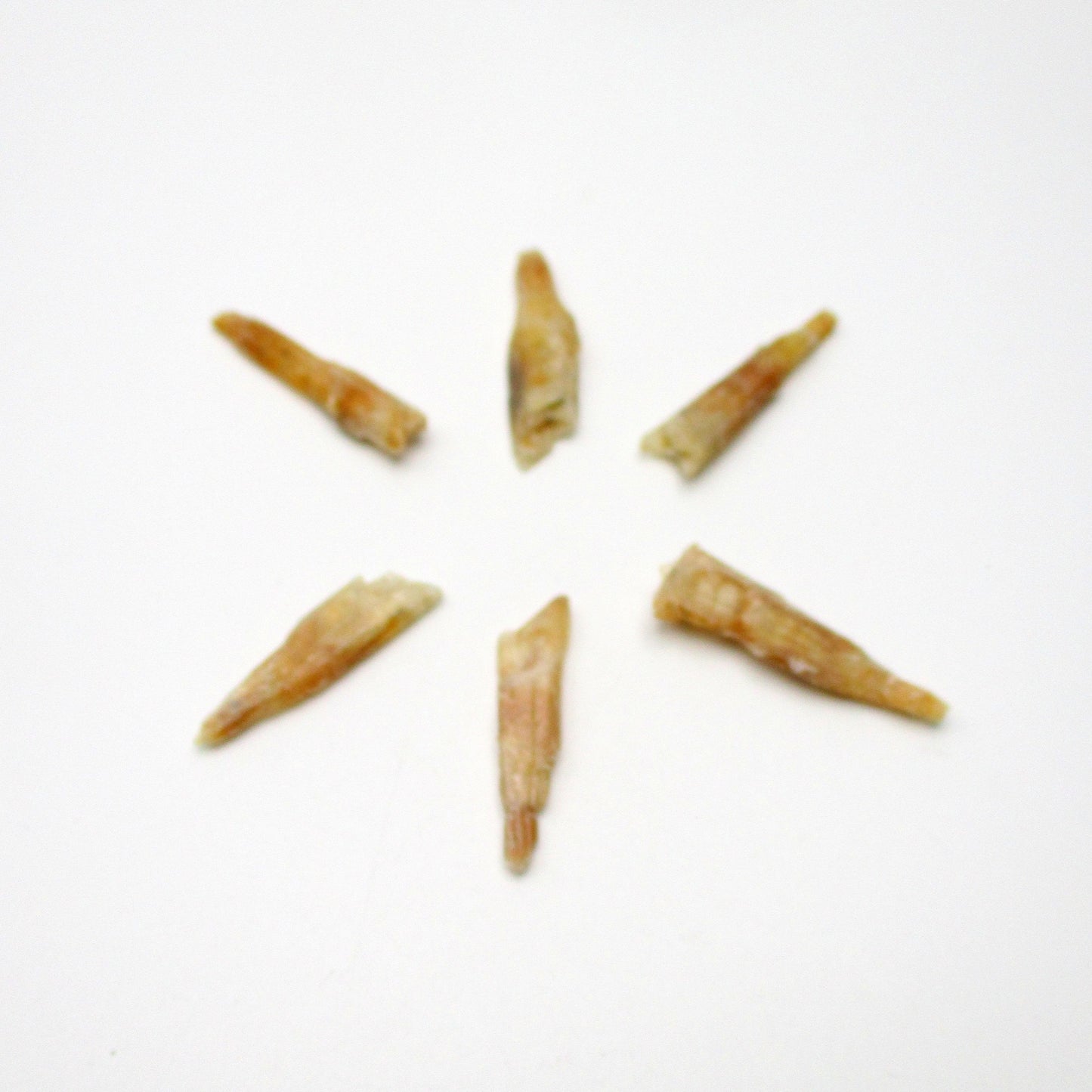 Australian Selenite Blade