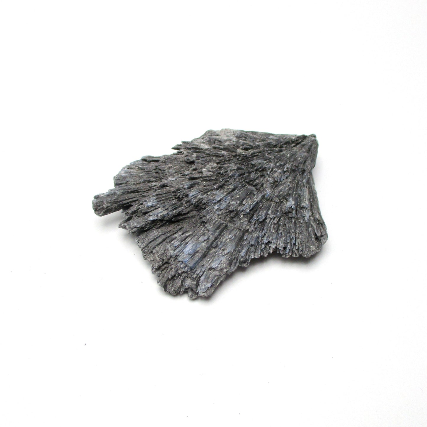 Black Kyanite Fan – Small (2.5" × 2.5")
