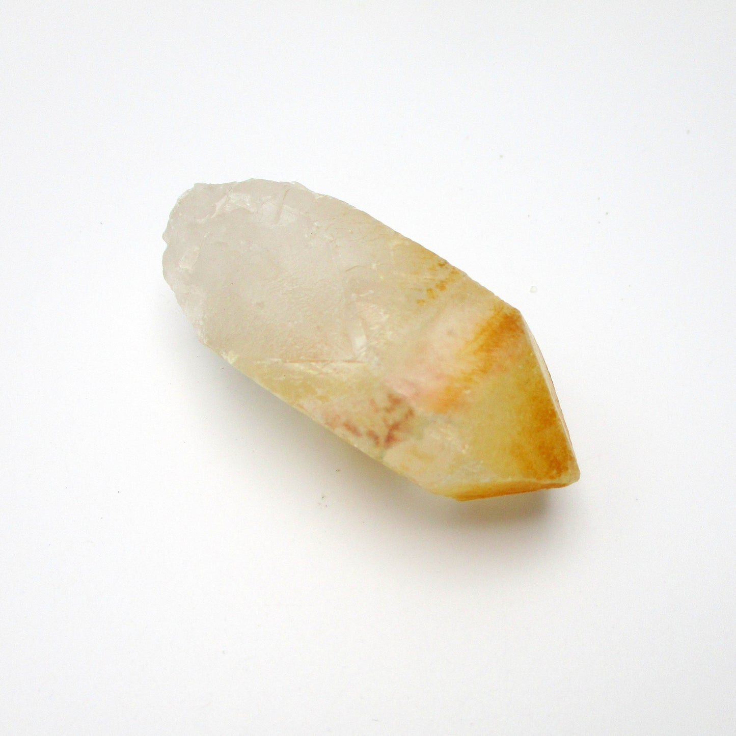 Brazilian Pink Lemurian
