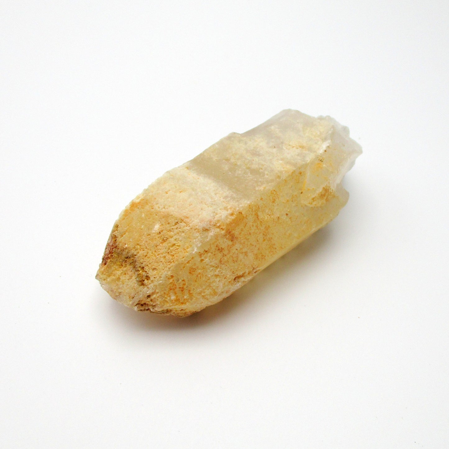 Brazilian Pink Lemurian