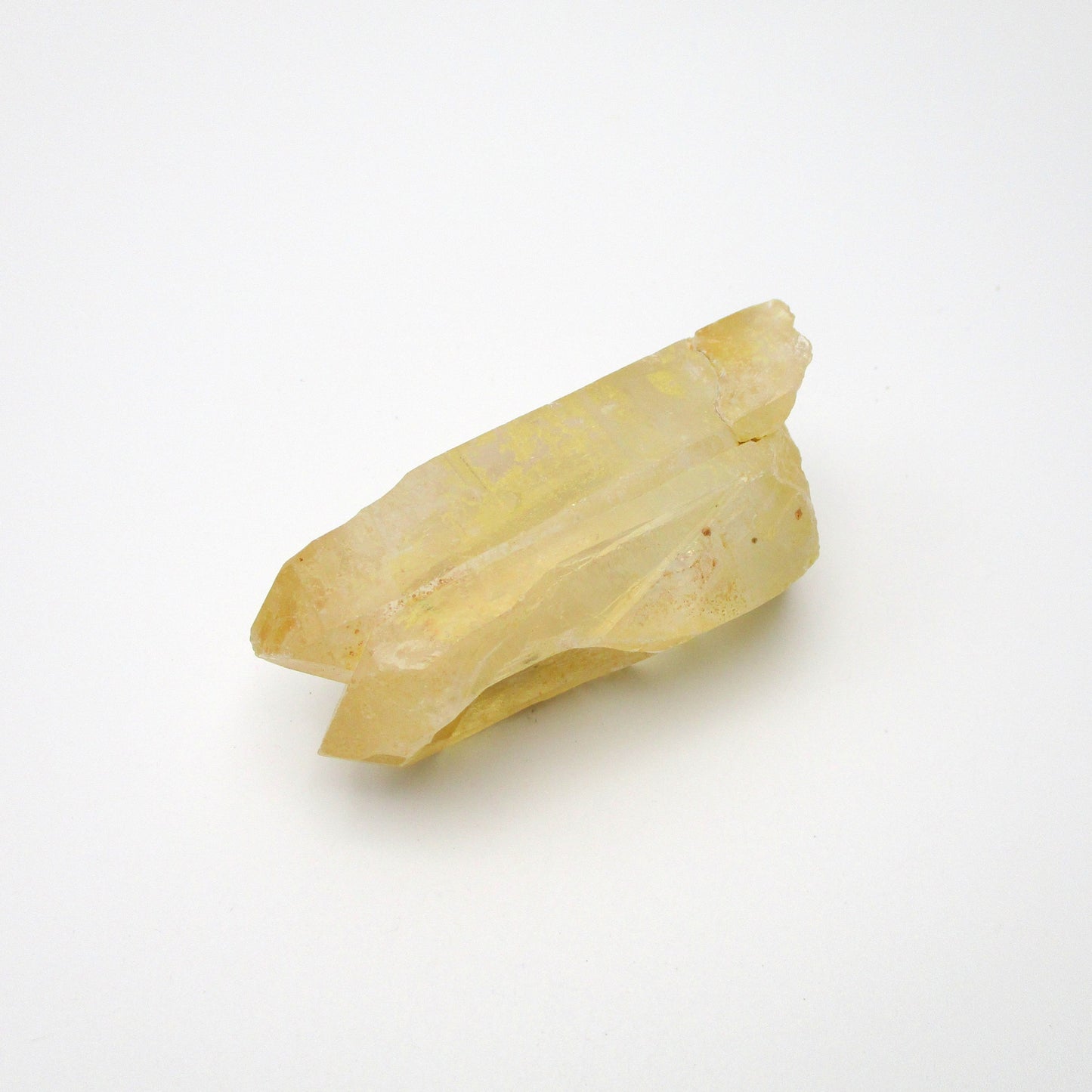 Brazilian Pink Lemurian