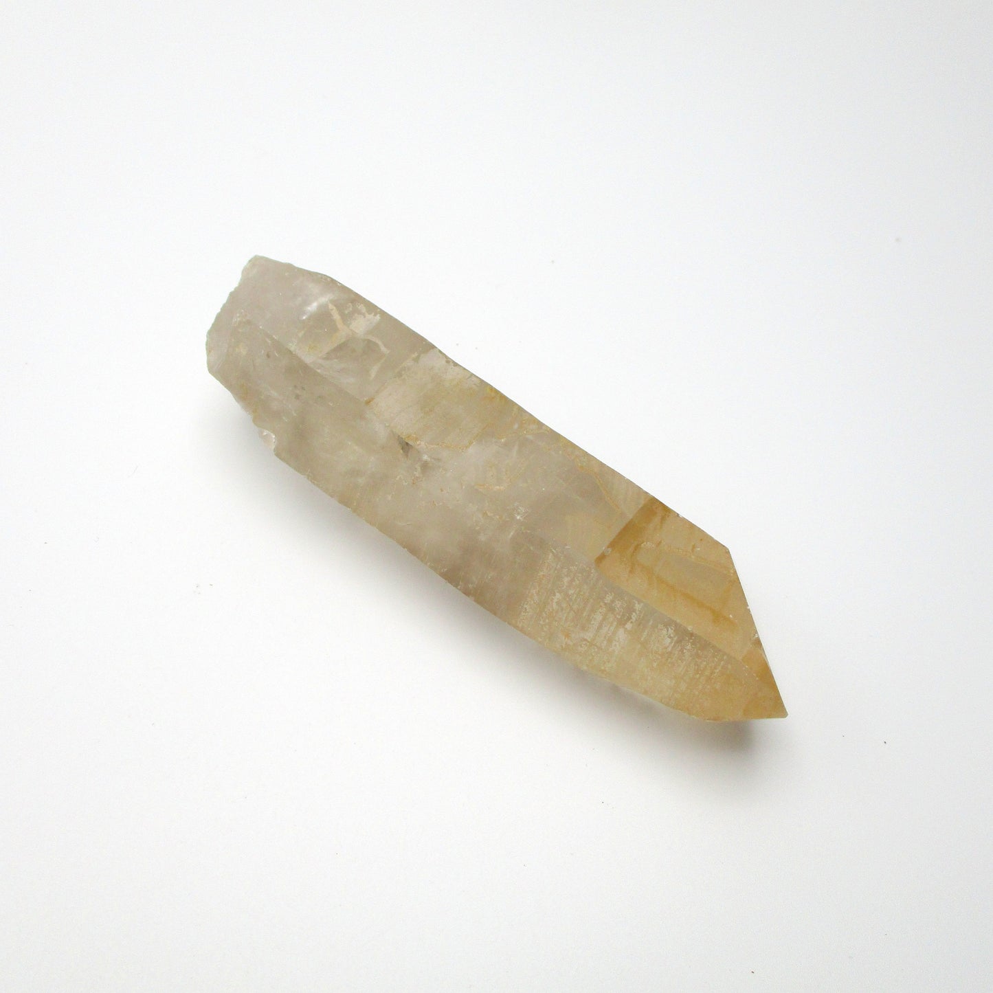 Brazilian Pink Lemurian