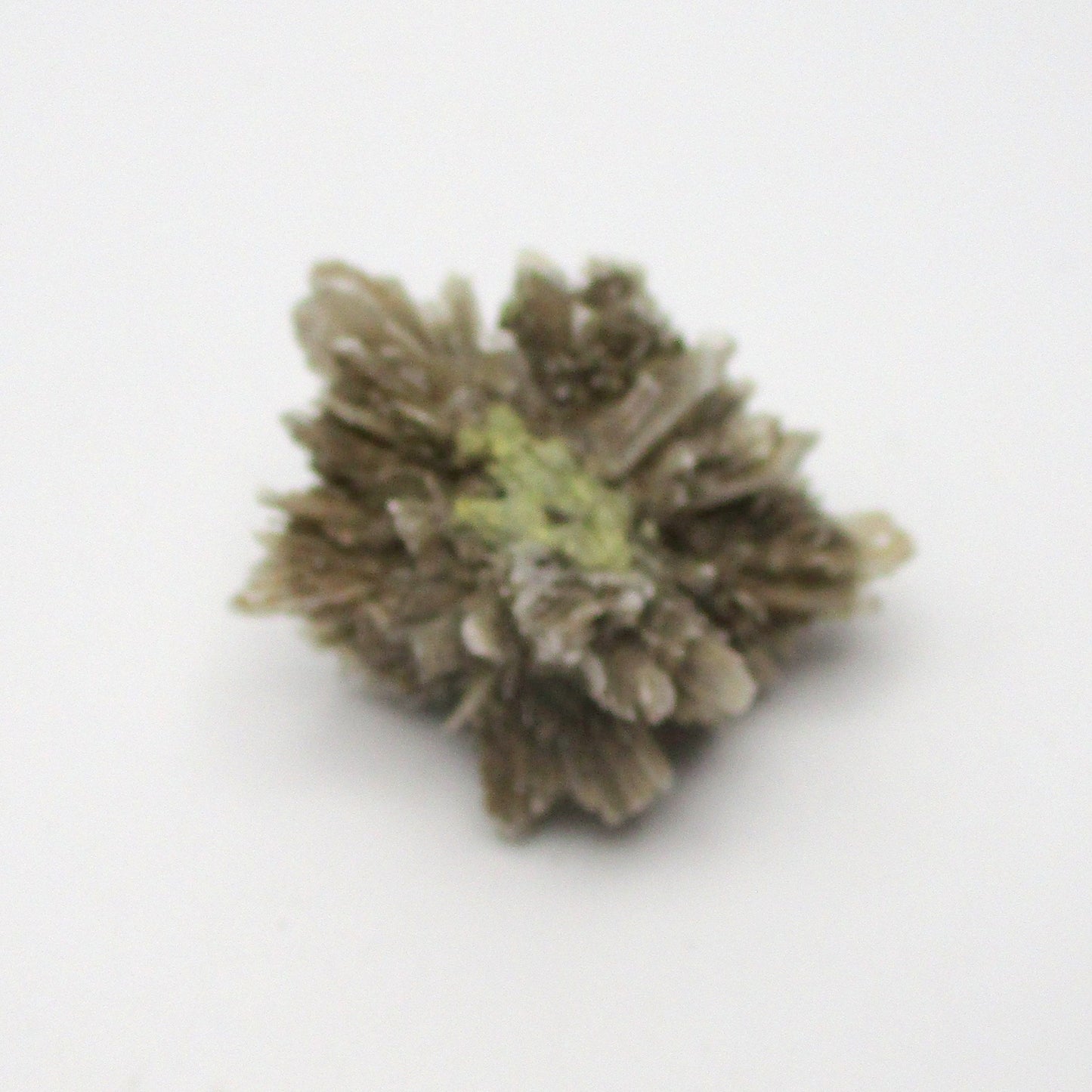 French Selenite – Medium Chunk (1.75" x 1" x 1")