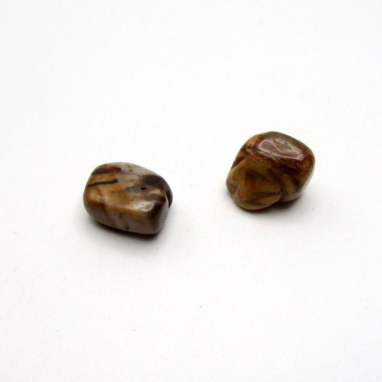 Petrified Wood