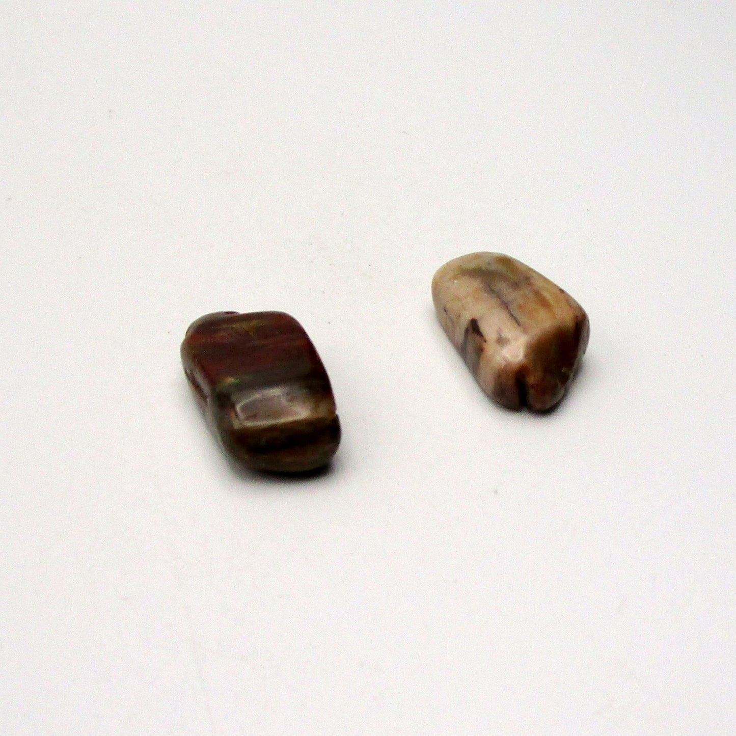 Petrified Wood